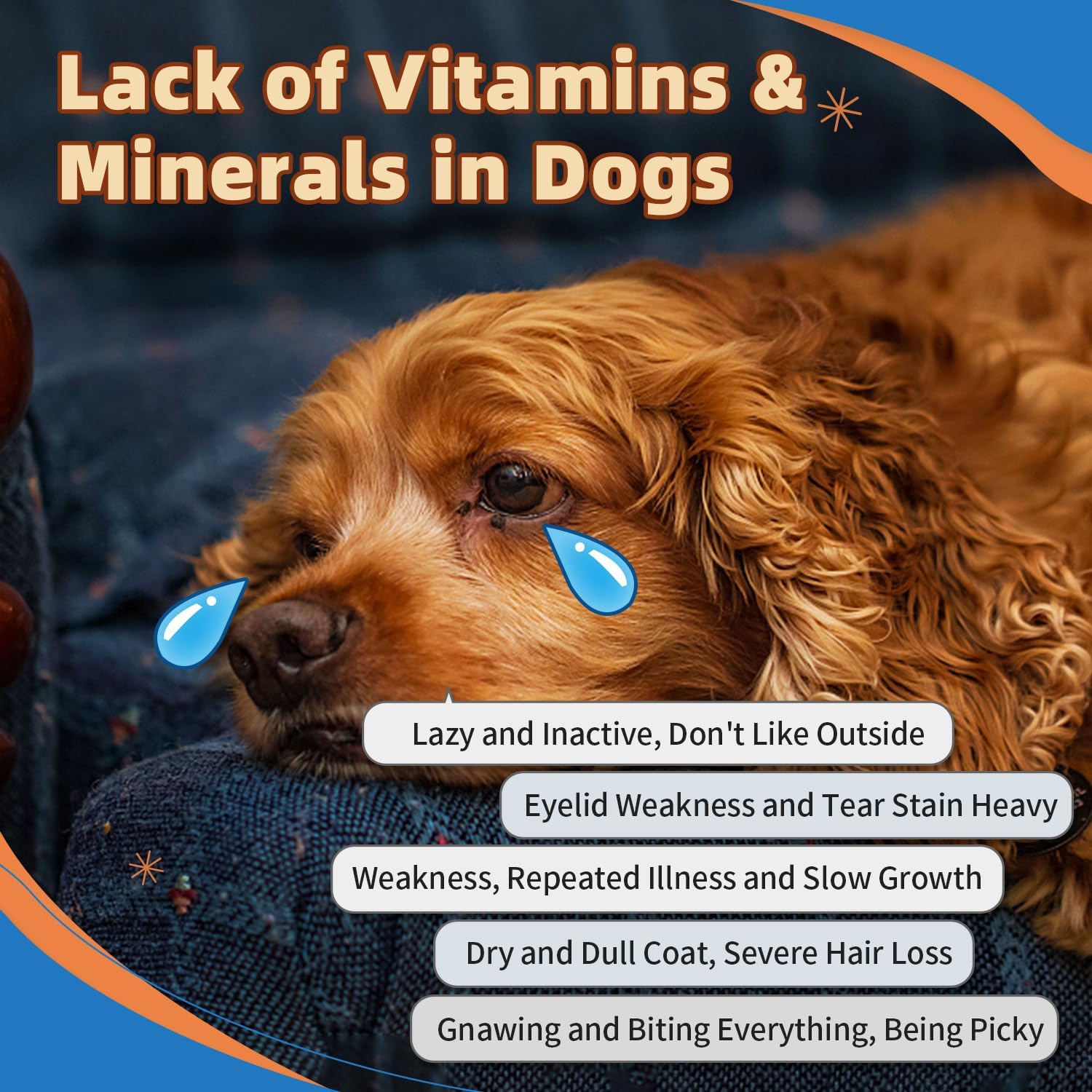 Polvo multivitamínico para perros con glucosamina, vitaminas para perros y suplementos para apoyo inmunológico, suplemento para la piel y el pelaje