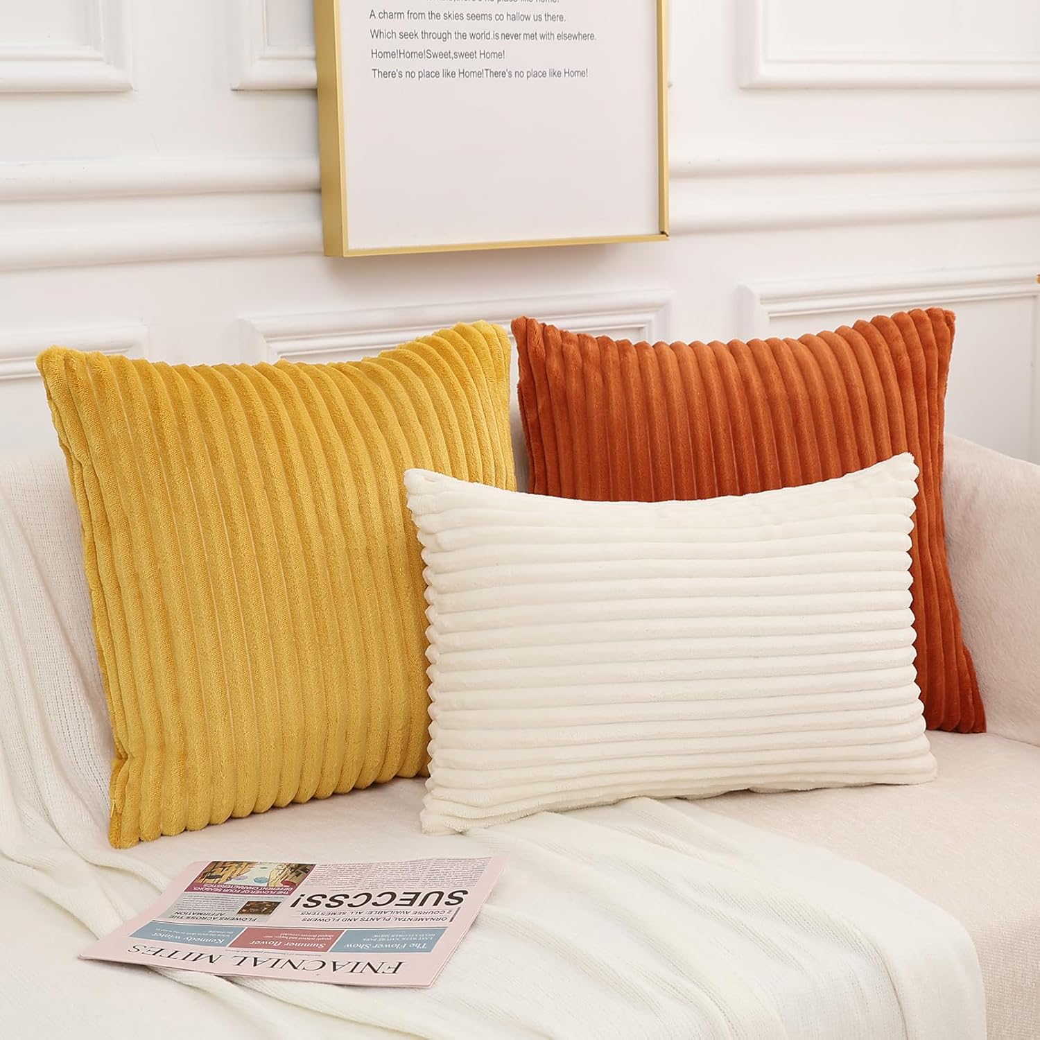 Juego de 2 fundas de almohada decorativas de 16 x 16 pulgadas, fundas de almohada de franela de felpa suave de doble cara para sofá, sala de estar,