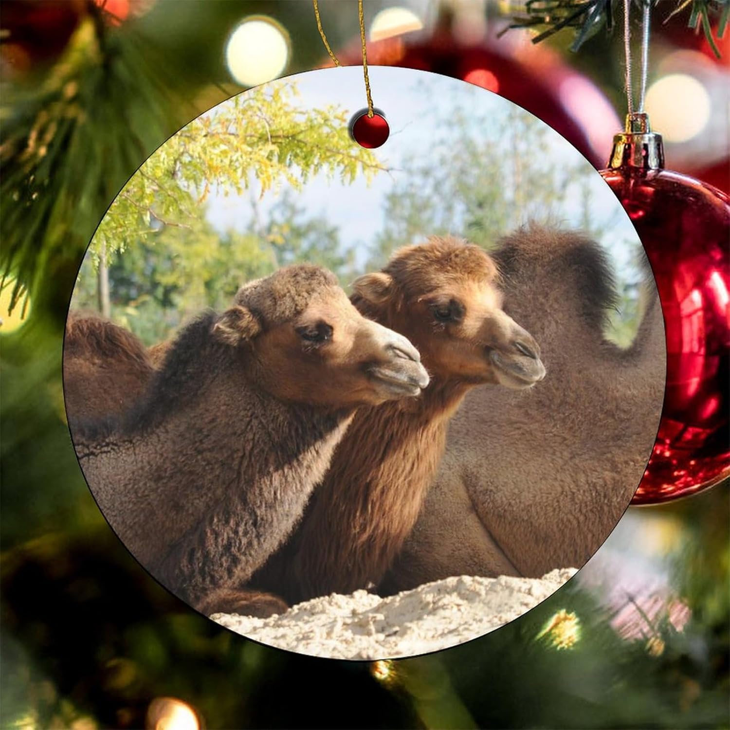 Adornos colgantes de Navidad, adornos de camello de animales silvestres, recuerdo festivo de cerámica, relleno de calcetín de Navidad para tío,