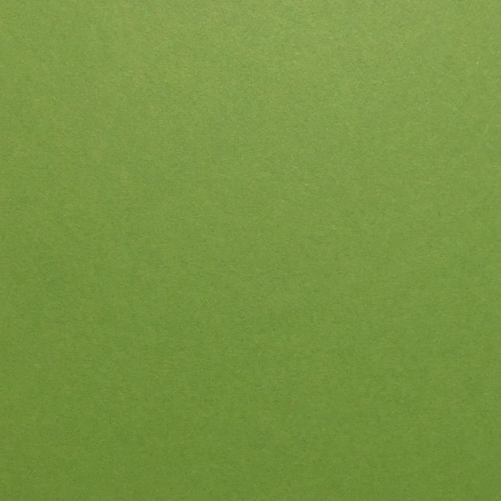 Gumdrop – Papel de cartulina verde, 12 x 12 pulgadas, 65 libras, cubierta premium, 25 hojas de Cardstock Warehouse