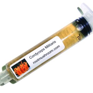 Root mushroom Farm- Cultivos líquidos de hongos Más 30 cepas disponibles. Root mushroom Farm- Cultivos líquidos de hongos Más 30 cepas disponibles.