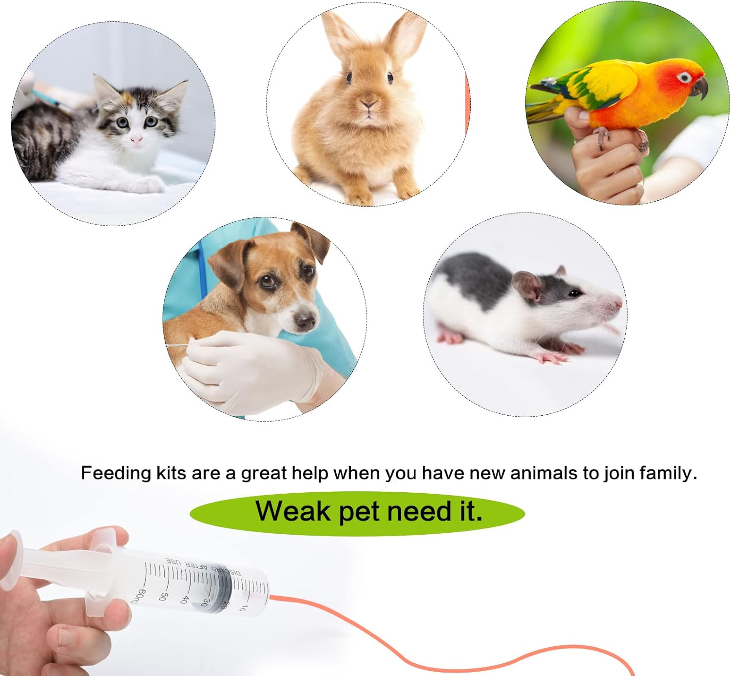 MOTAIN Kit de suministros de alimentación para mascotas, paquete de 3 tubos de alimentación de goma roja (8 Fr, 10 Fr, 14 Fr) con 3 jeringas de