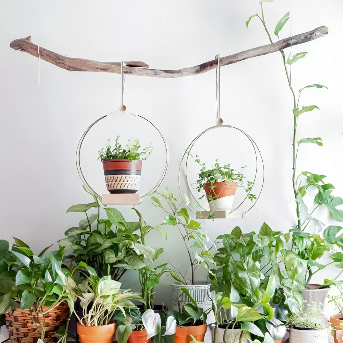 Dravmola Colgadores de macramé para plantas con base de madera, paquete de 2 soportes bohemios colgantes para plantas de interior, macetas colgantes