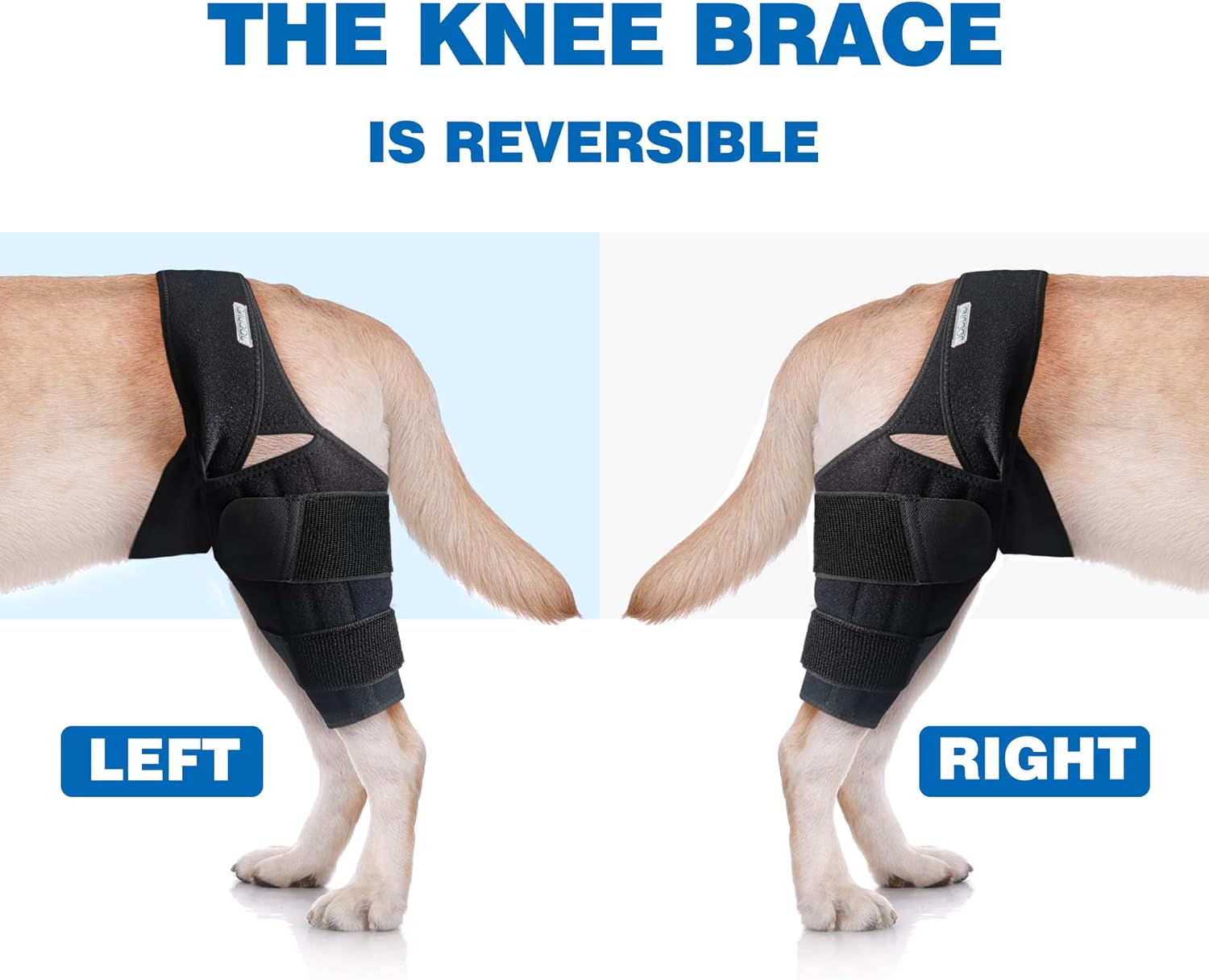 Rodillera de perro para pierna trasera de ACL desgarrada, soporte de pierna de perro para pierna trasera con soporte de metal, soporte de ACL para