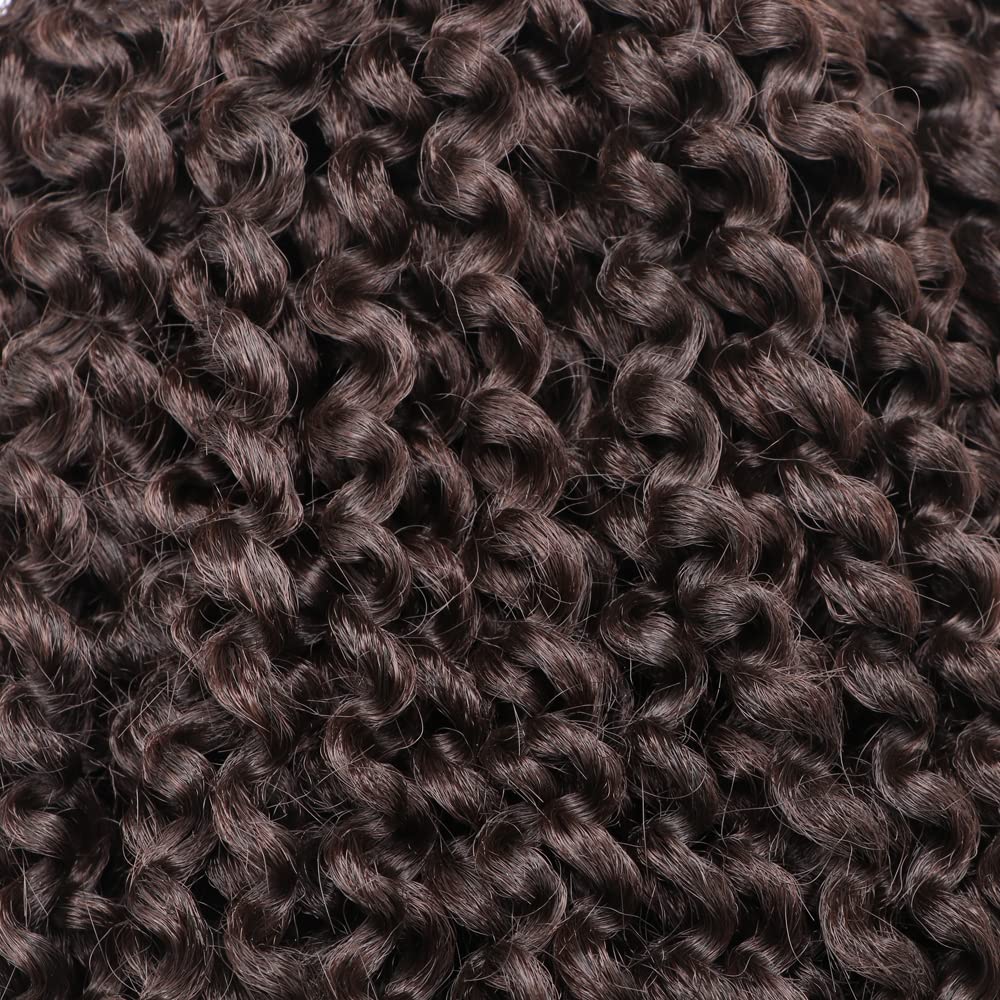Rizo rizado afro de 8 pulgadas, 4# color negro apagado, 3 unidades, paquete de trenzas de ganchillo sintéticas suaves (4#)
