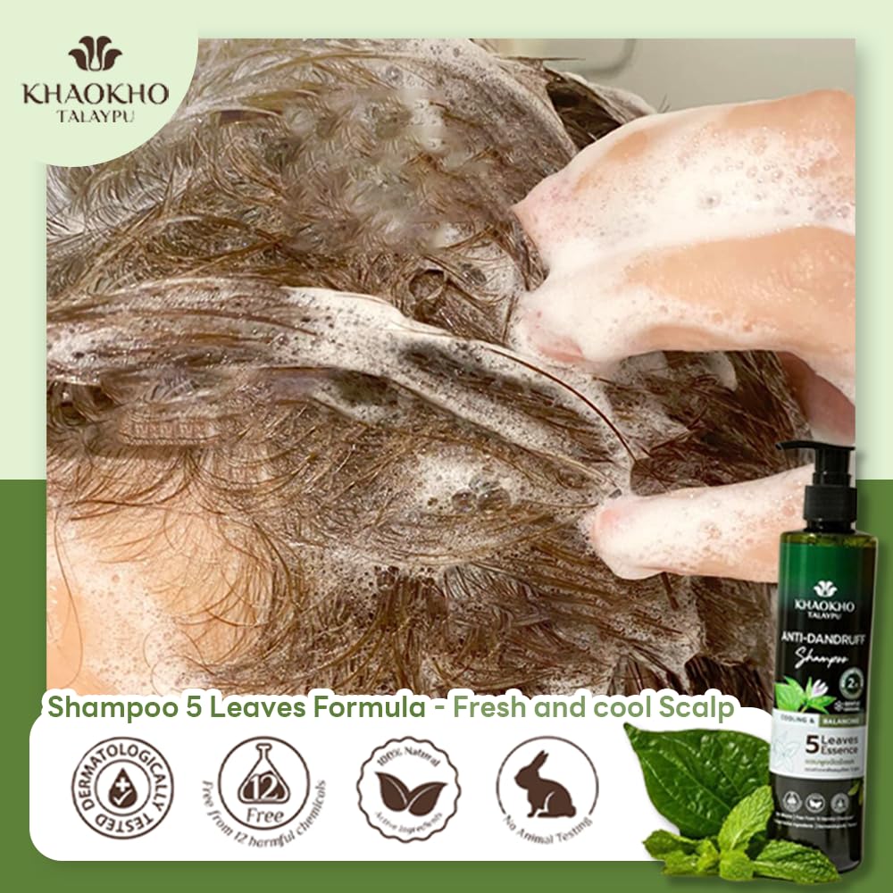KKT Champú para el cuidado del cuero cabelludo con extracto de hierbas, anticaspa natural. Fórmula de extractos de hierbas, libre de productos