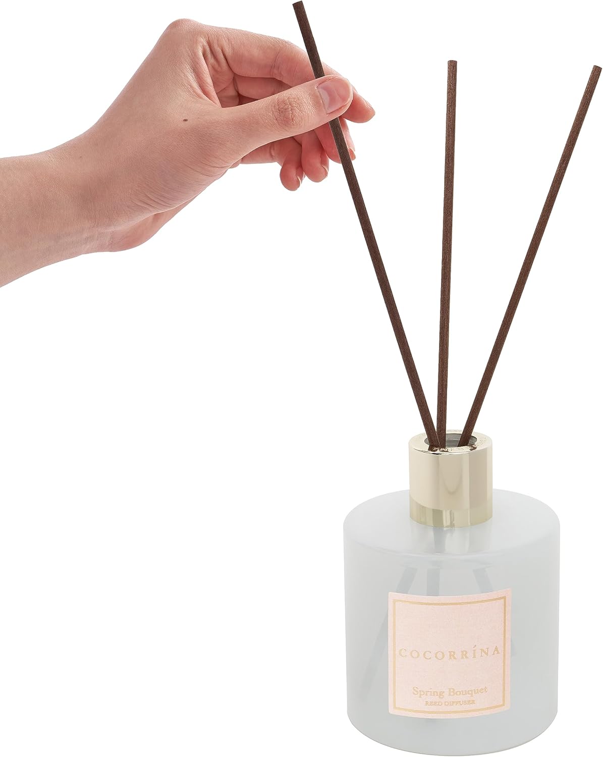 Cocorrína Juego de difusor de junco, difusor perfumado de ramo de primavera con palillos, difusor de varillas de fragancia para el hogar para
