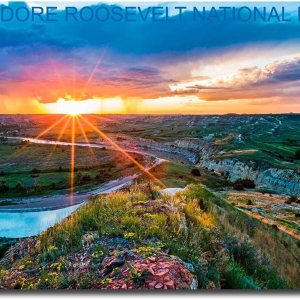 Theodore Roosevelt National Park – Imán para refrigerador de viaje, tamaño 2.5 x 3.5 pulgadas Theodore Roosevelt National Park – Imán para refrigerador de viaje, tamaño 2.5 x 3.5 pulgadas