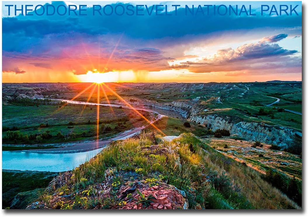 Theodore Roosevelt National Park – Imán para refrigerador de viaje, tamaño 2.5 x 3.5 pulgadas