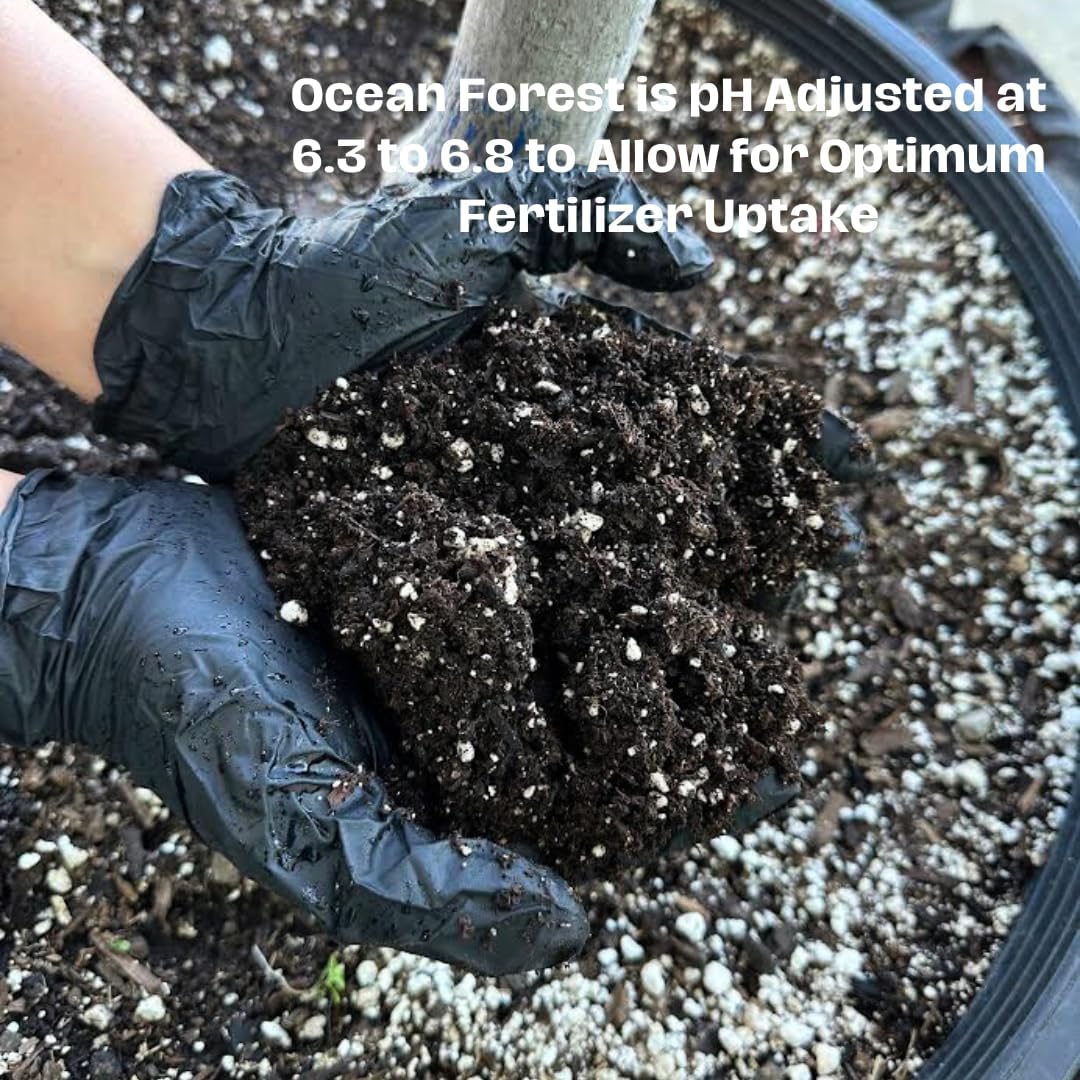 FoxFarm FX14053 – Mezcla de tierra para macetas de bosque oceánico para plantas de interior y exterior, 12 cuartos de galón (1 unidad), bolsas de
