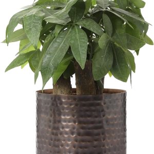MyGift Jarrón de metal vintage de tono cobre de 6 pulgadas, maceta con textura martillada, contenedor cilíndrico para plantas suculentas de MyGift Jarrón de metal vintage de tono cobre de 6 pulgadas, maceta con textura martillada, contenedor cilíndrico para plantas suculentas de