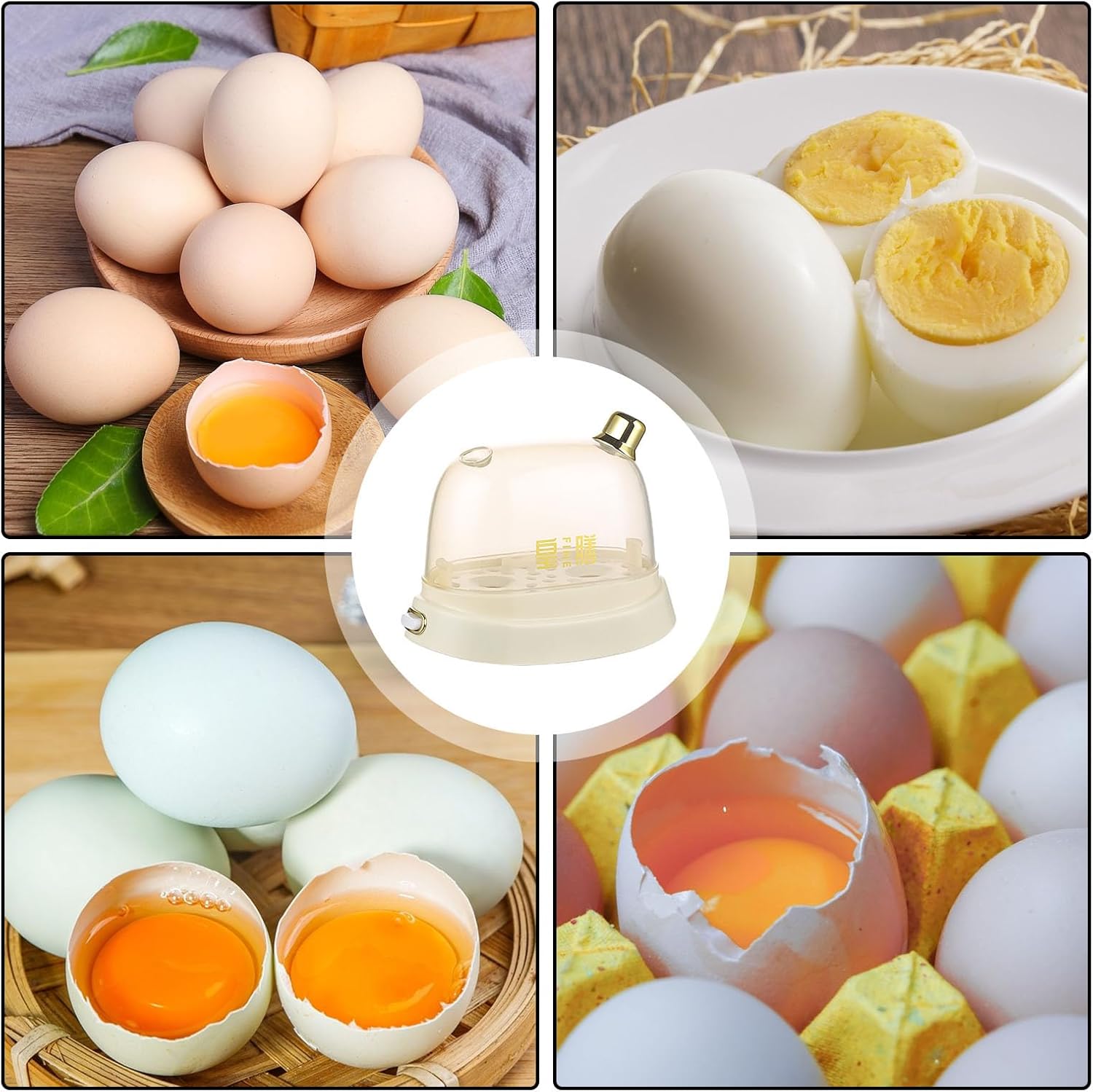 Cocina eléctrica para huevos, vaporizador eléctrico de huevos de 220 V 120 W, olla eléctrica para huevos con capacidad para 2 huevos, temporizador
