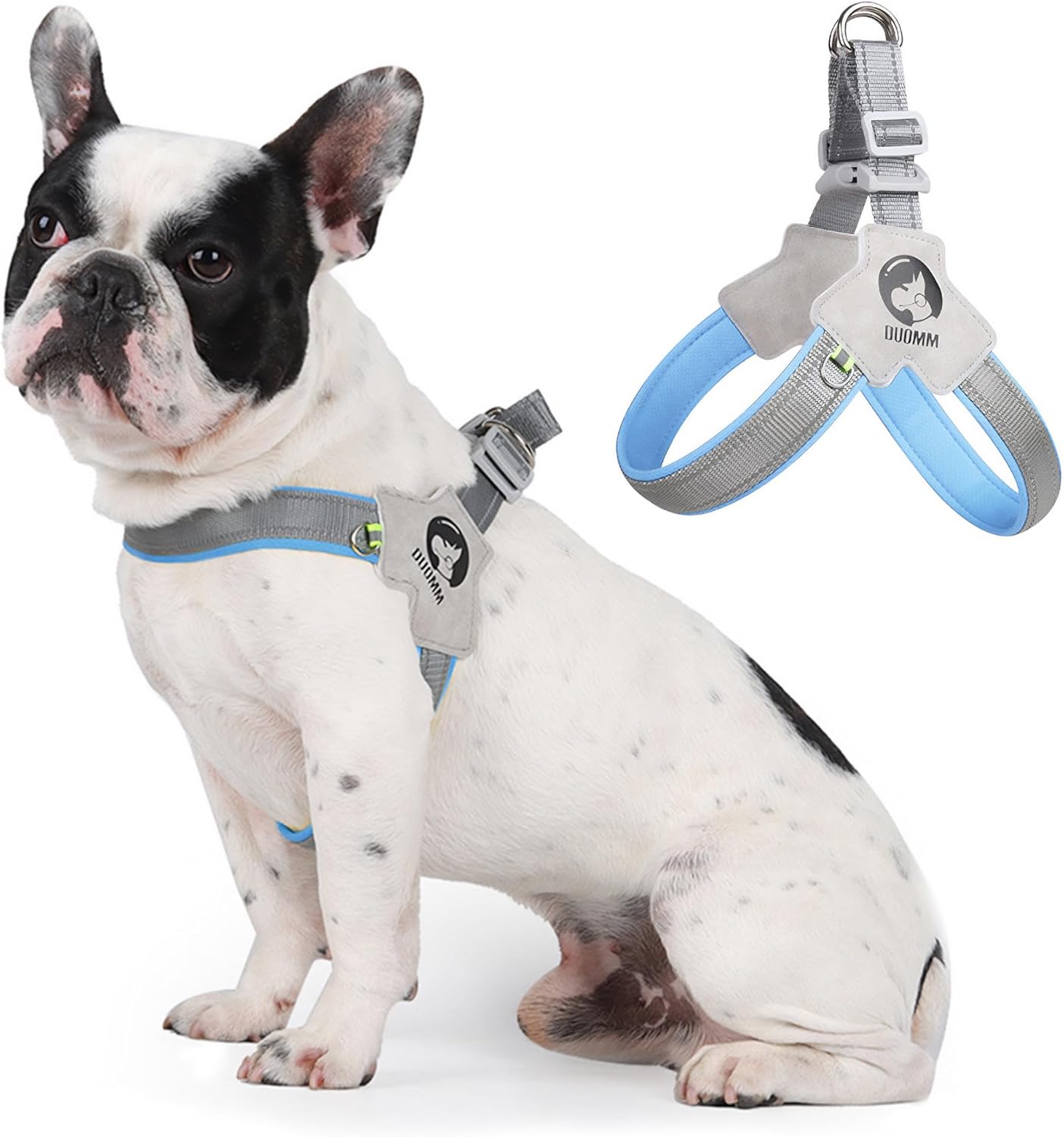 LAVAMOND Easy Walk – Arnés para perro con problemas de tráquea, arnés suave y ajustable para cachorros, sin tirones, fácil de usar, arnés para