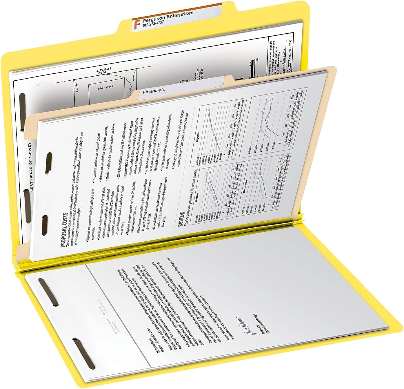Smead carpeta de clasificación, Amarillo