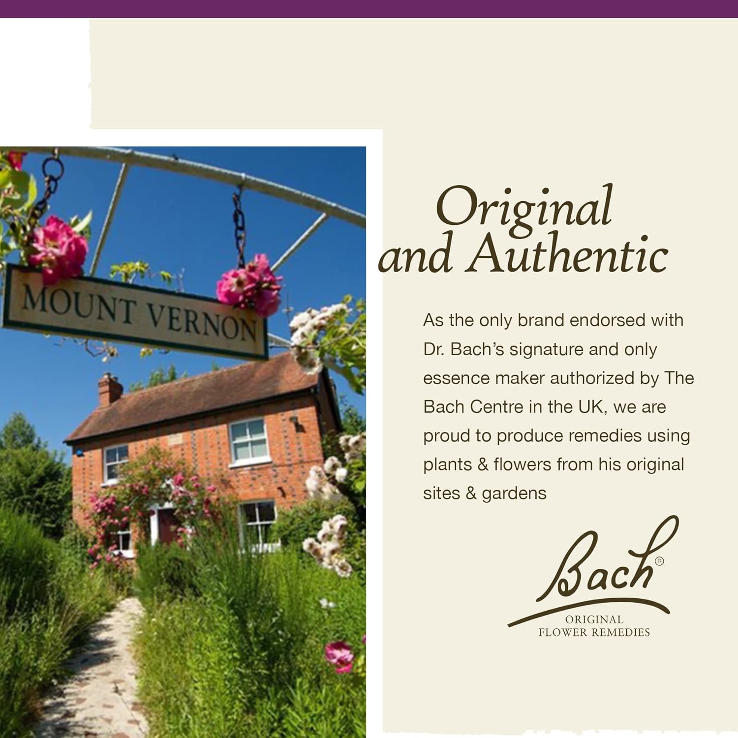 Bach Remedios florales originales, violeta agua para conectarse con otros (fórmula sin alcohol), esencia floral homeopática natural, bienestar