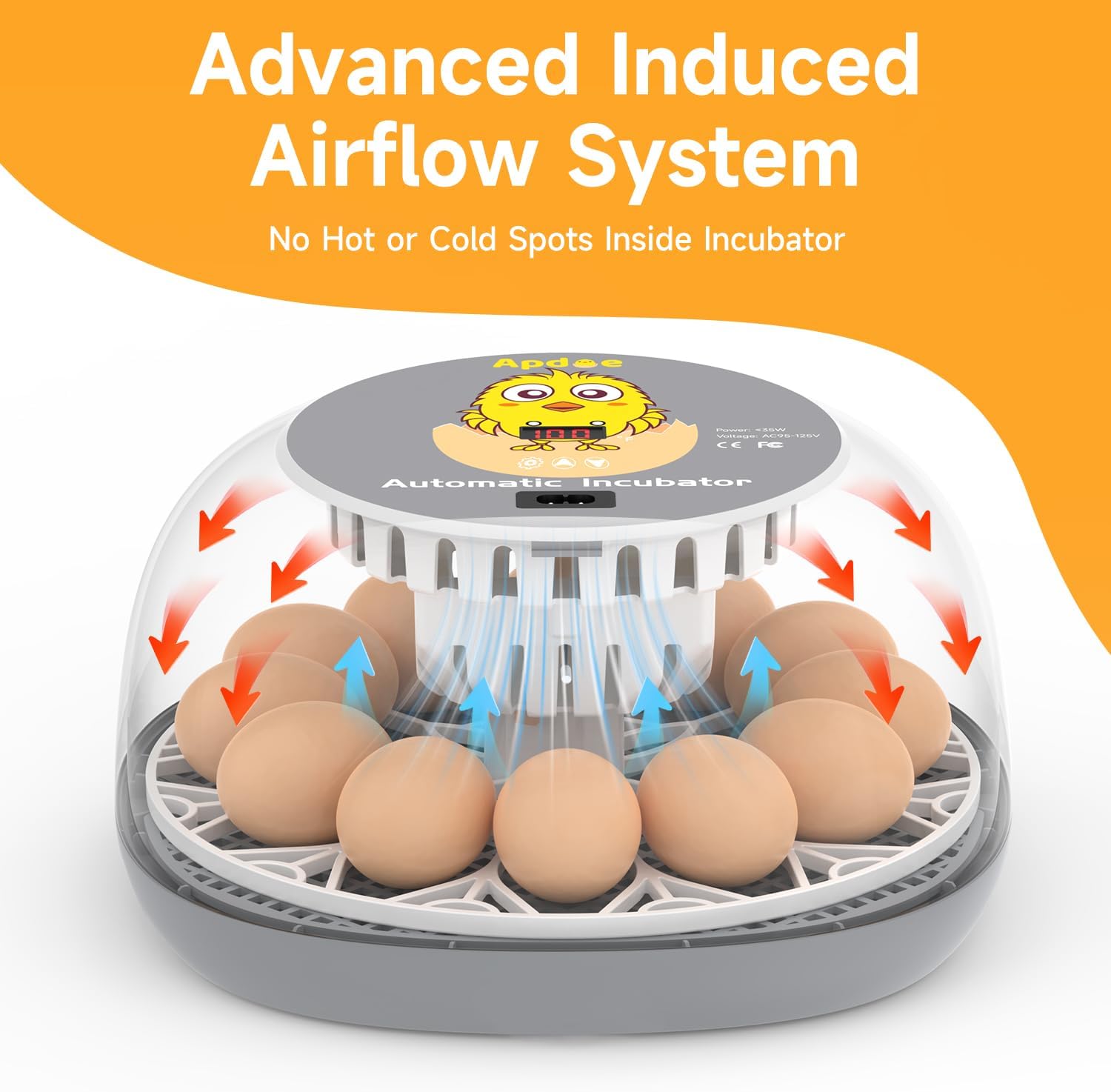 Apdoe Incubadora de 12 huevos, incubadoras para incubar huevos, girador automático de huevos con control de temperatura, vela de huevos, reposición