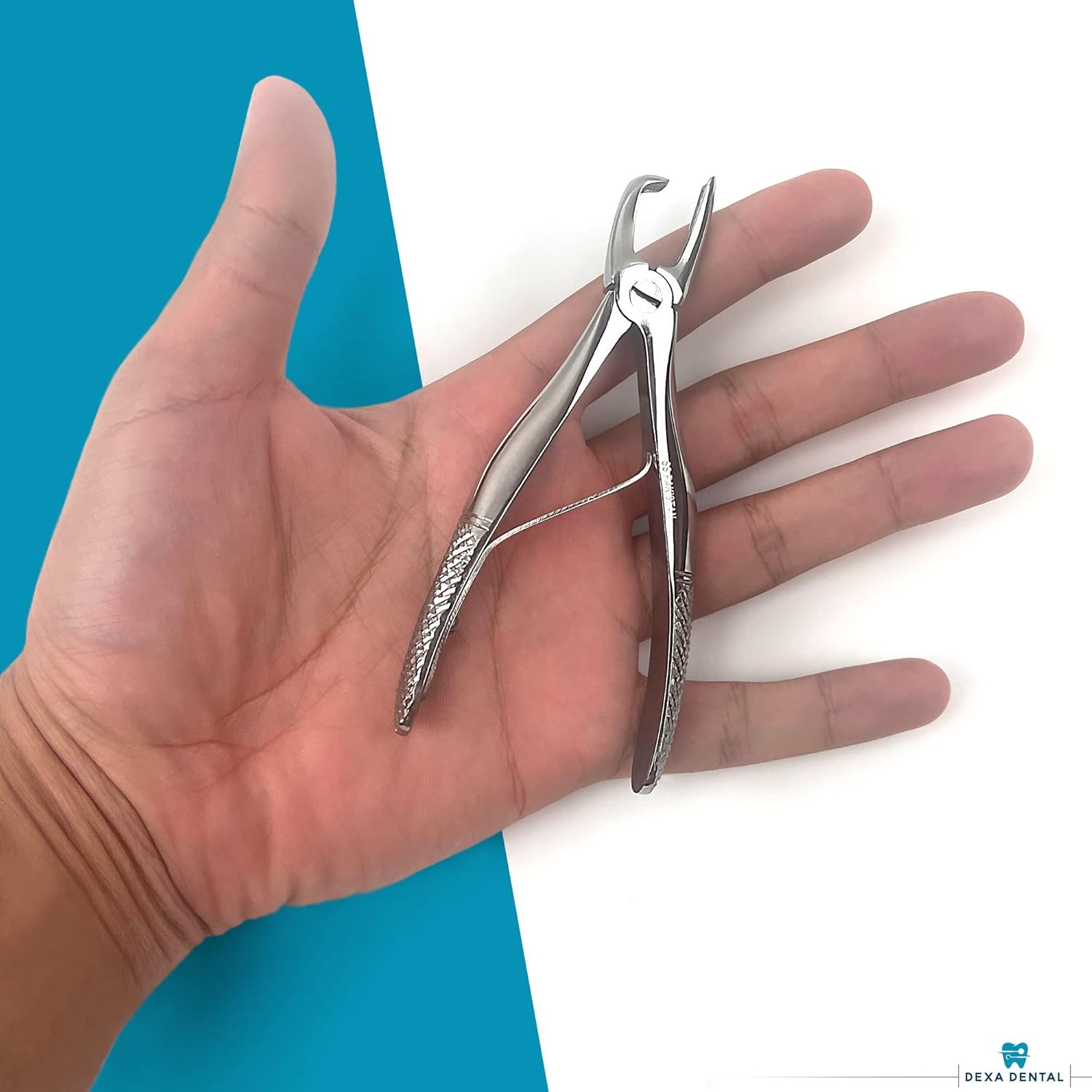 Tártaro Forcep Calculus Remover Raspador de dientes, Pinzas removedor de sarro, perro veterinario dental PET Canino A+, Instrumento de calidad 4.5