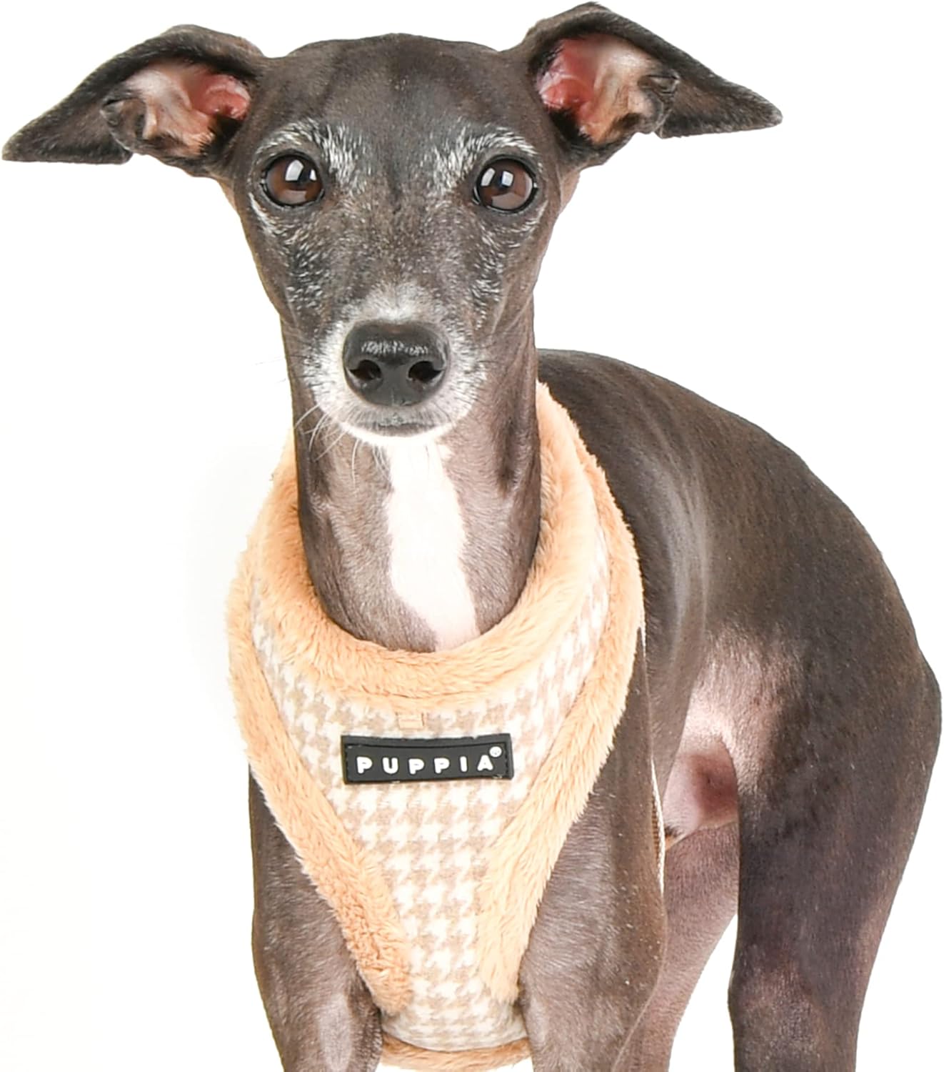 Puppia Arnés Pastor A – Beige – XL