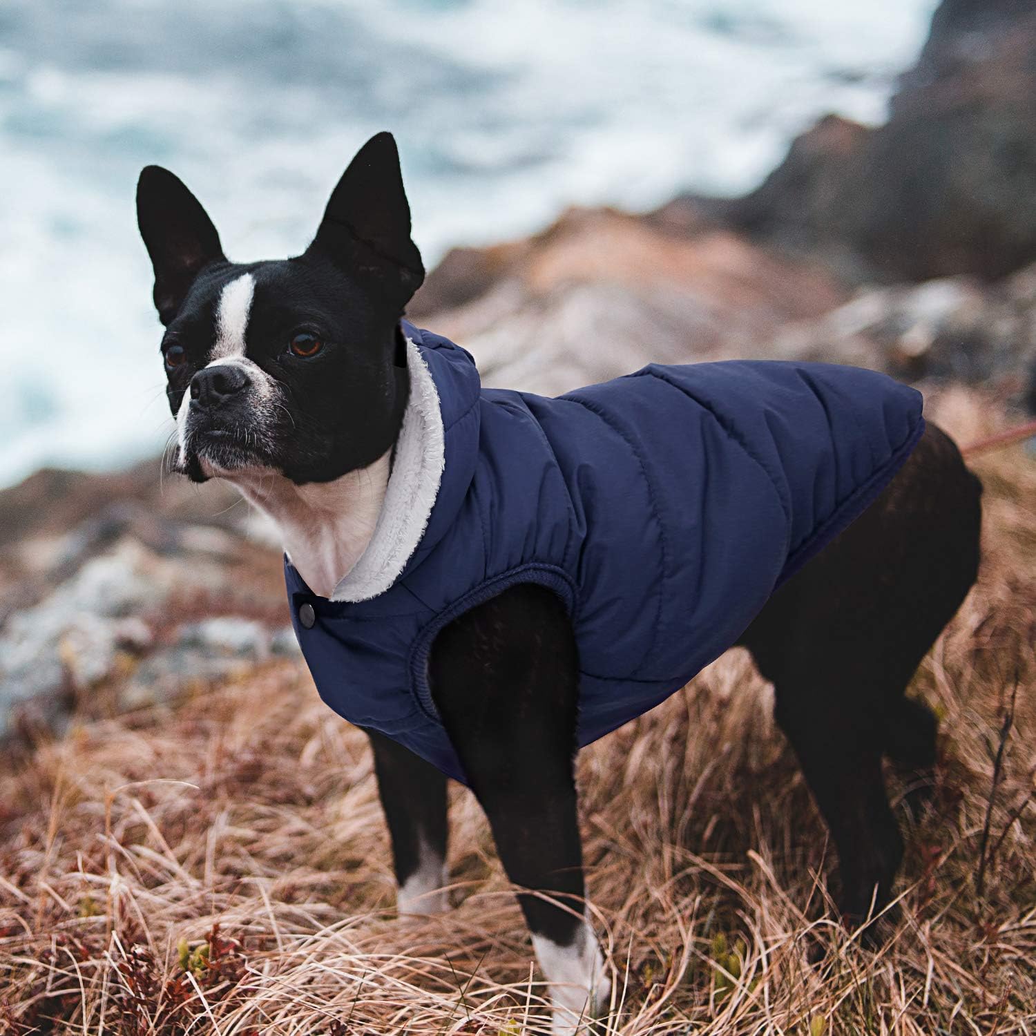 Sudadera con capucha de forro polar para perro, resistente al viento, abrigo impermeable con forro de algodón, chaqueta cálida para perro, chaleco