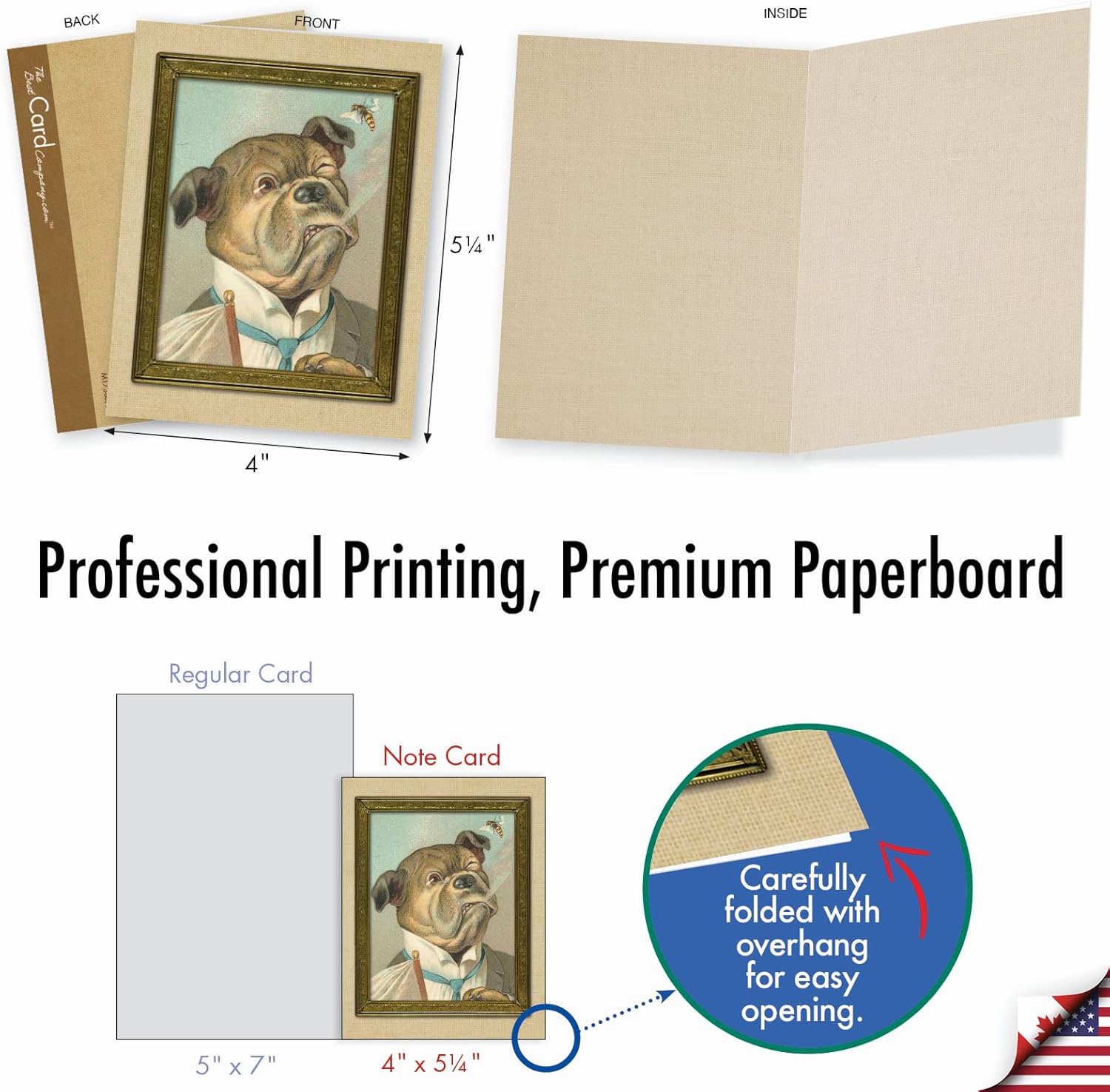 The Best Card Company – 10 tarjetas de notas en caja en blanco (4 x 5.12 pulgadas) – Tarjetas surtidas a granel, imágenes vintage – Retratos de