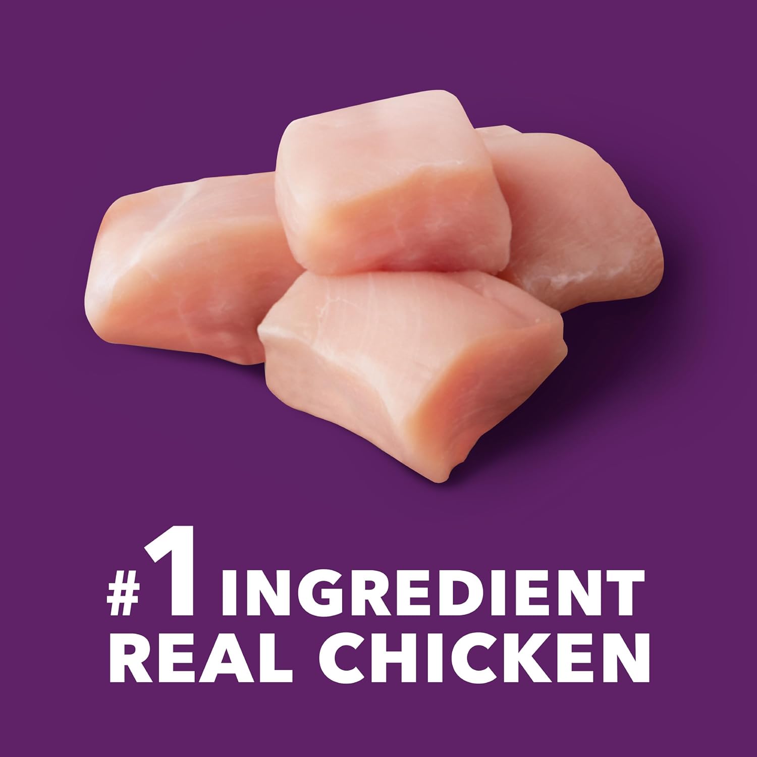 Advanced Health Mobility Support Receta de pollo y granos integrales Alimento seco para perros adultos, bolsa de 13.5 libras