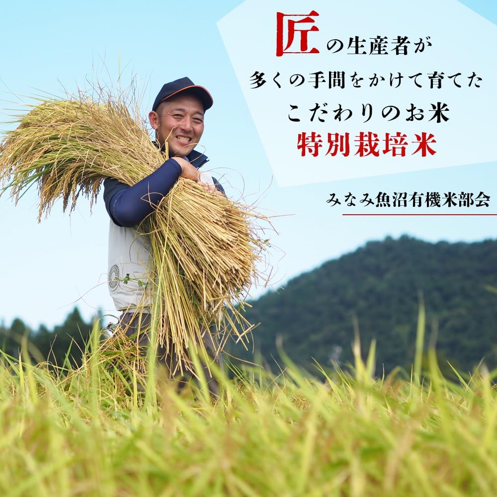 Arroz integral japonés Koshihikari de grado superior – YUKINOHO – Cosecha exclusiva y especialmente cultivada en Niigata Minamiuonuma – 11 libras