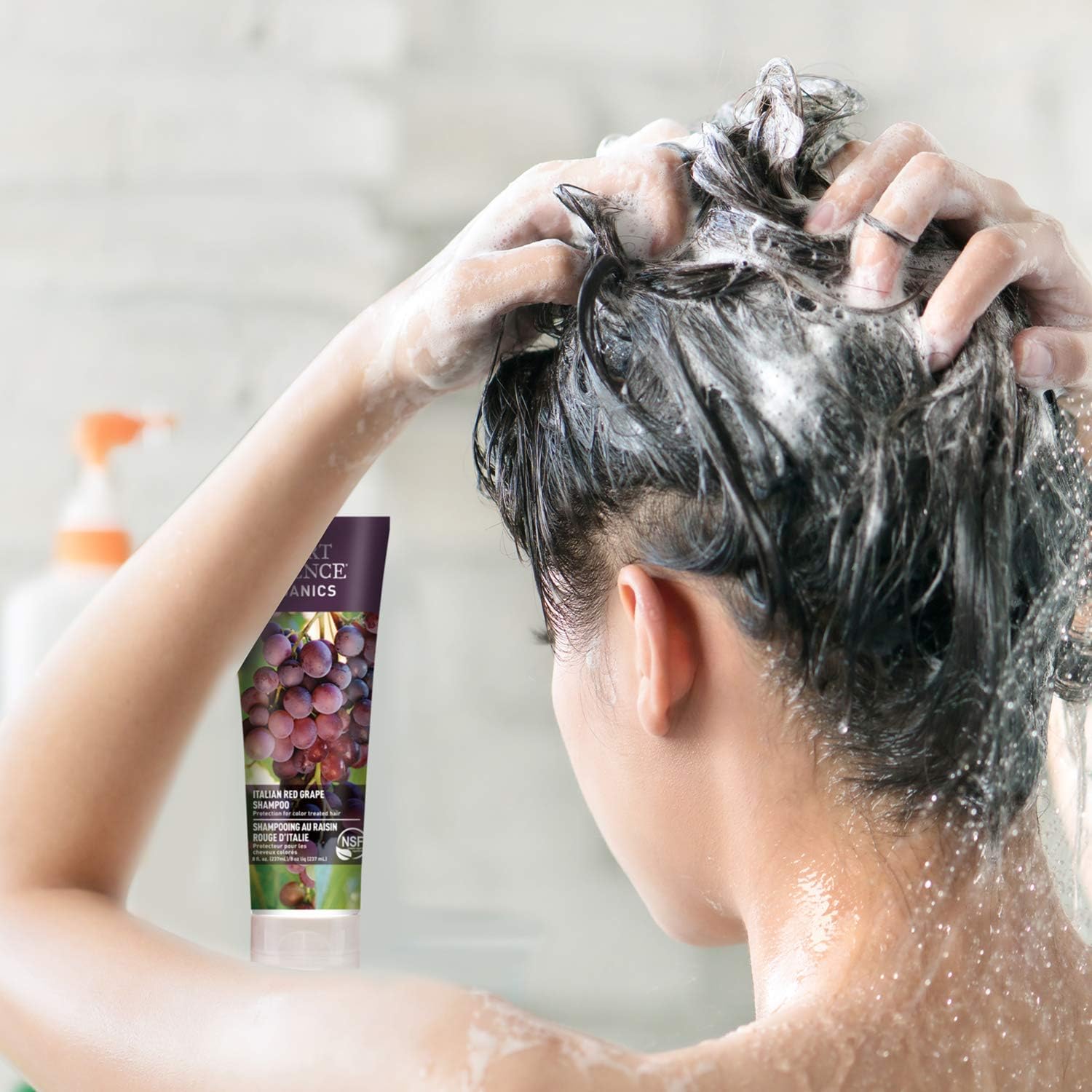 Desert Essence Paquete de champú y acondicionador de uva roja italiana, 8 onzas líquidas, protección para cabello tratado con color, antioxidante,