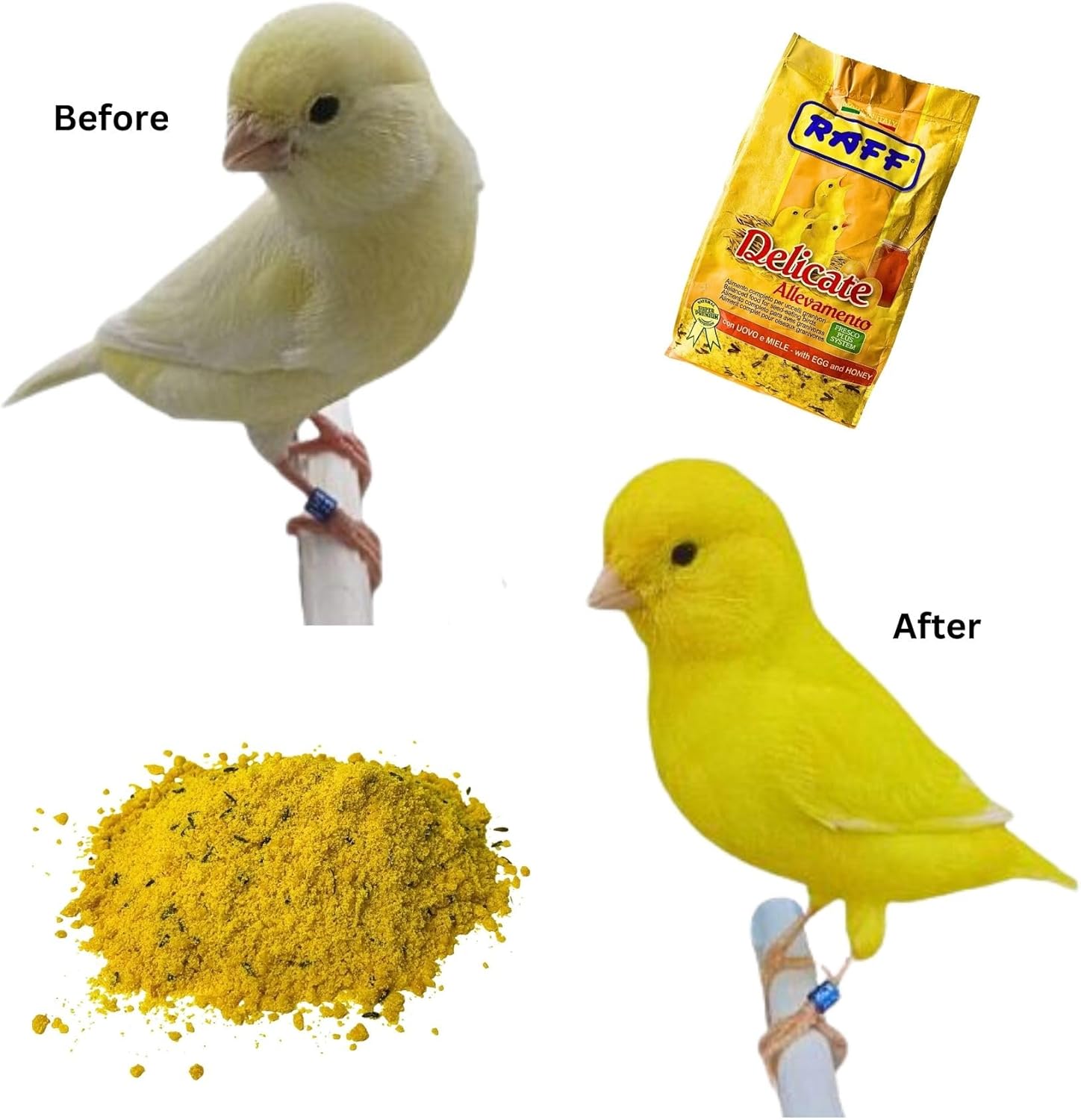 Raff Delicado Allevamento 17.64 oz – Golosinas de huevo y pasta de miel para pájaros pinzones, periquitos, cacatúas, pájaros enamorados, canarios –