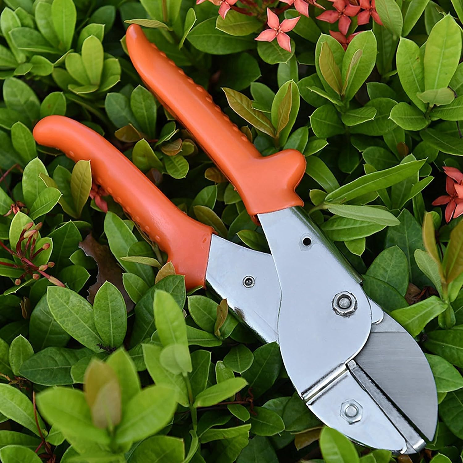Tijeras de jardín de primera calidad, tijeras de podar herramientas de jardinería, podadoras para flores, arbustos, rosas y árboles frutales, uso