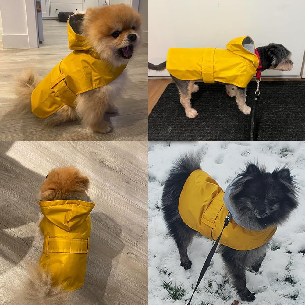 Impermeable para perro, poncho impermeable, ropa para mascotas, con forro de doble capa, agujero para correa, ajustable, para perros pequeños y