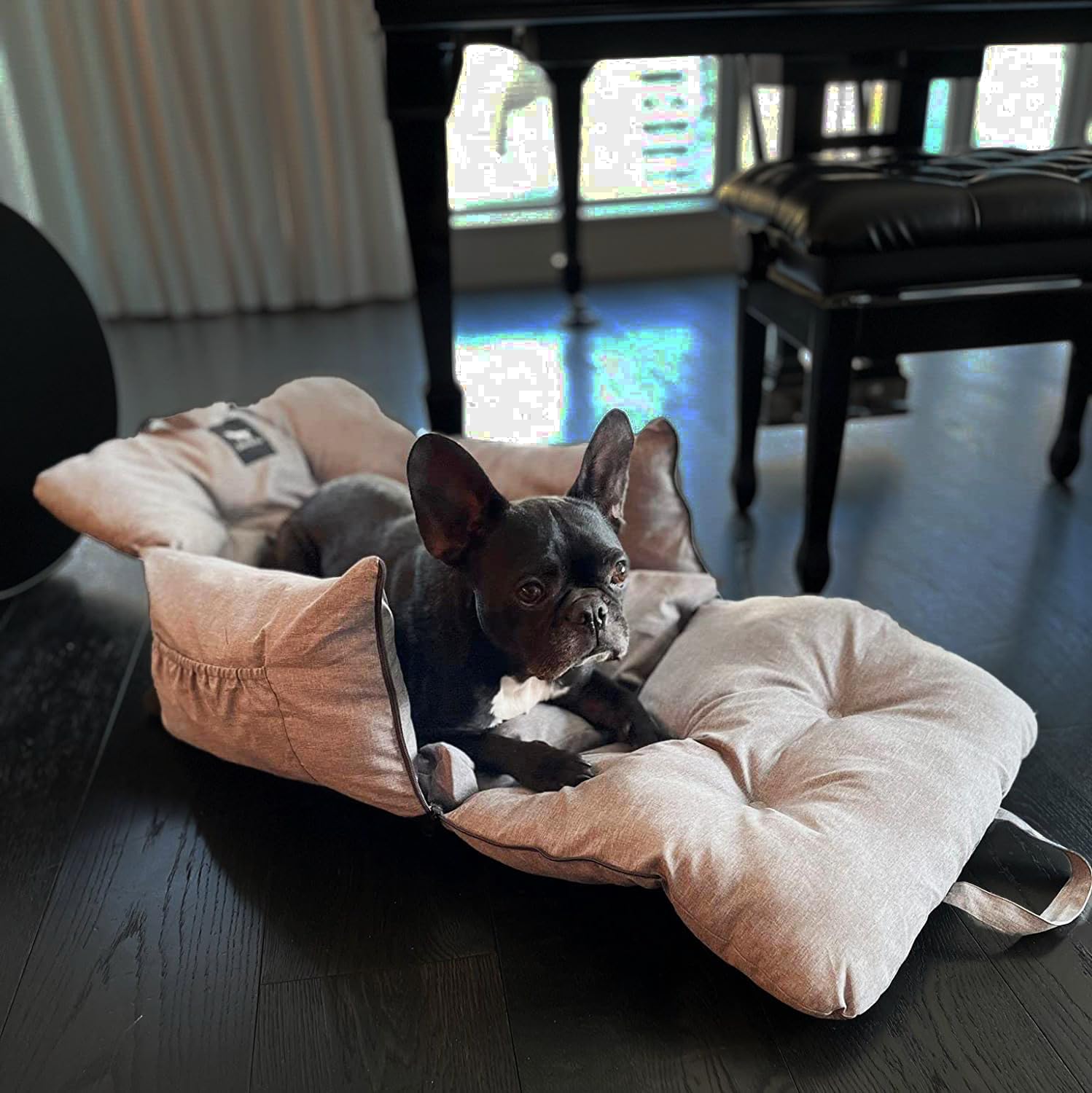 JACKO & CO – Asiento de coche para perros de alta calidad y asiento elevador para mascotas pequeñas y medianas de menos de 30 libras, cachorros,