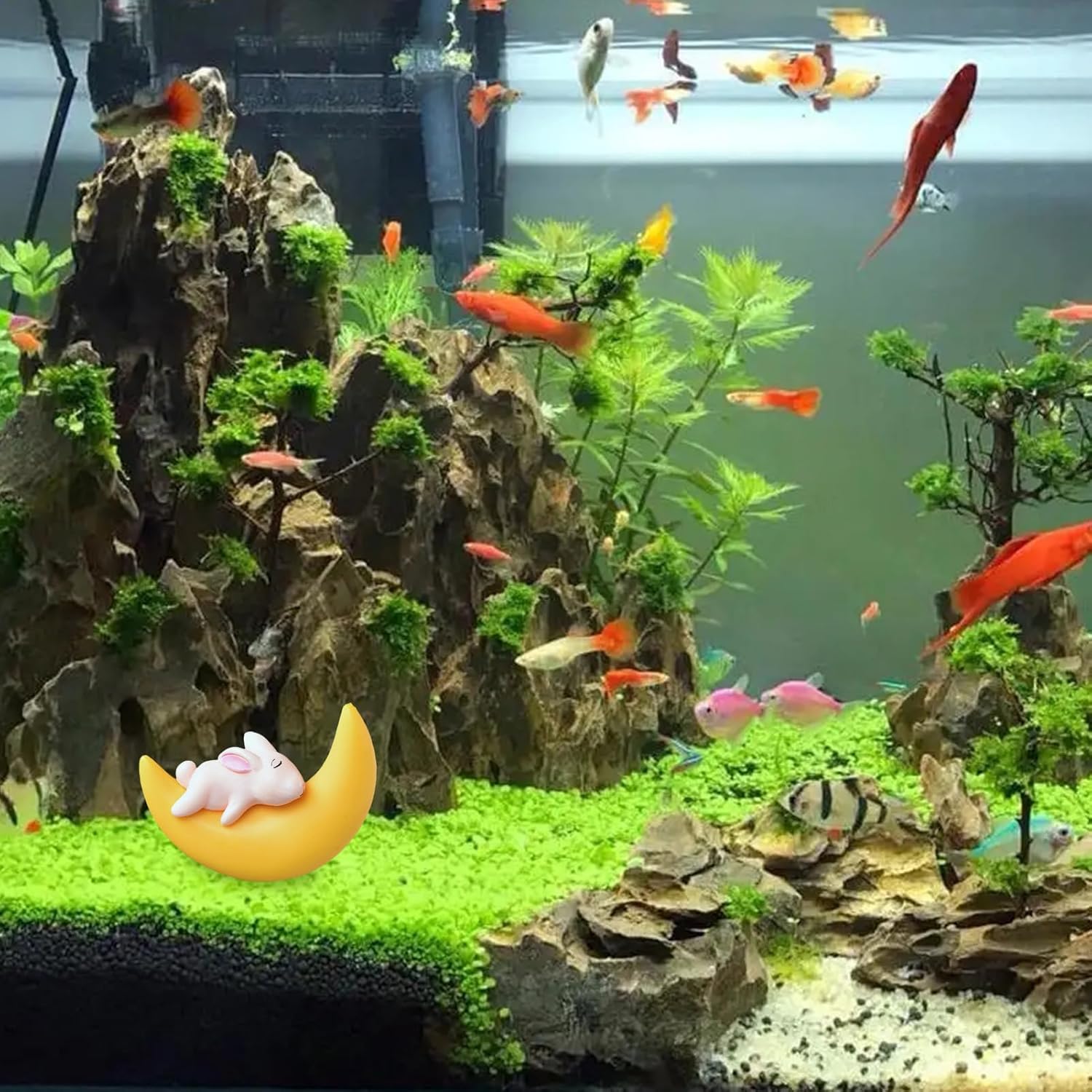 Naysku Decoraciones de peces para tanques, decoración flotante de conejo de oso lunar para acuario, adornos decorativos para paisajismo, dispositivo