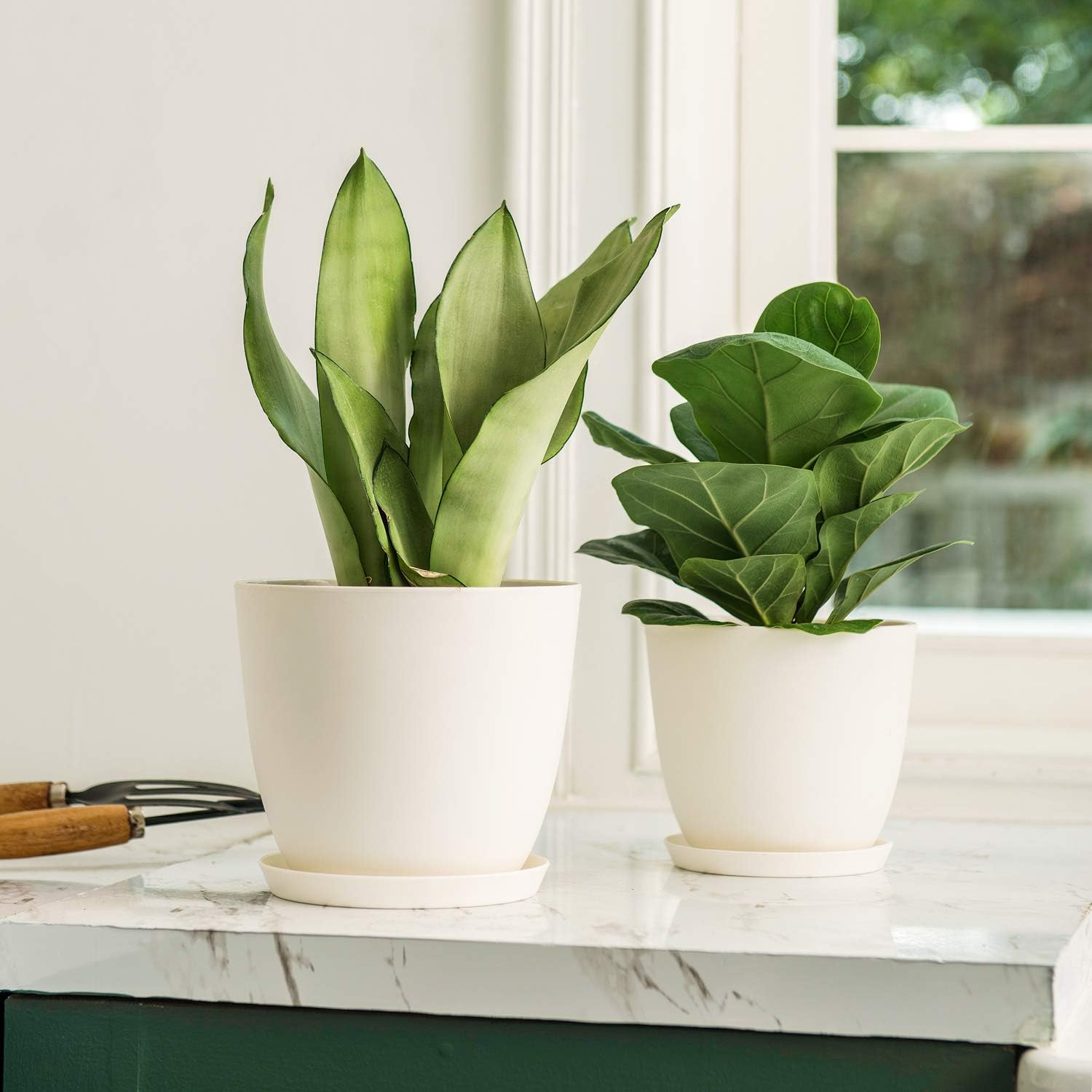 Mkono – Juego de 5 maceteros de plástico para interiores, decorativos y modernos para jardinería con orificio de drenaje y bandeja para todas las