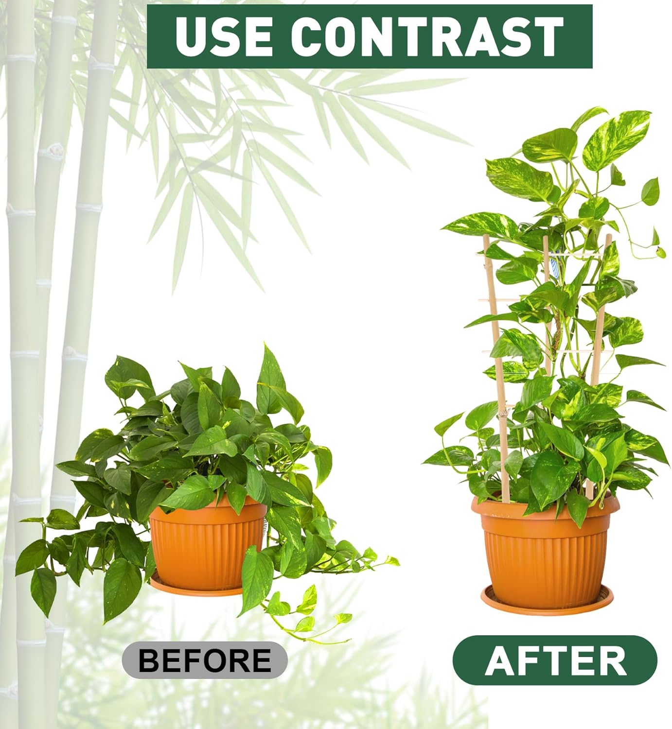 Enrejado de bambú para plantas trepadoras de 16 pulgadas, paquete de 12 entramados de bambú natural en forma de abanico, mini soporte de madera para