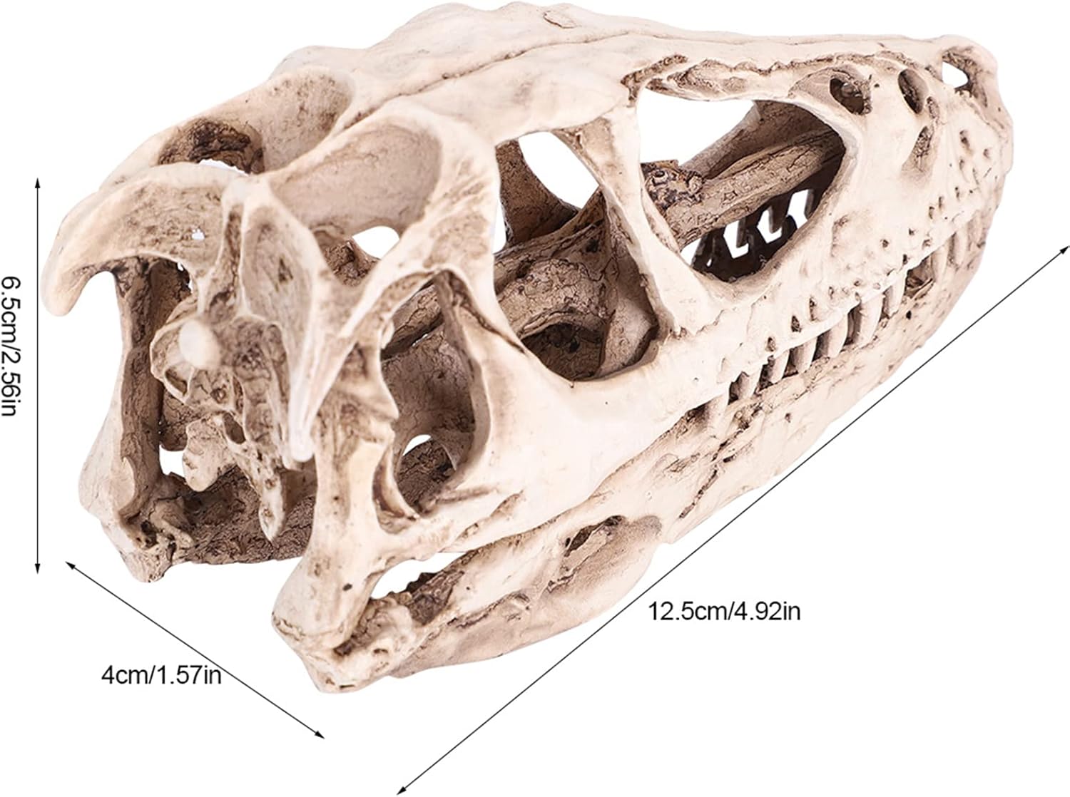 TOPINCN Modelo de calavera de dinosaurio, esqueleto de animal simulado, realista y vívido, perfecto para decoración de oficina en casa, accesorio de