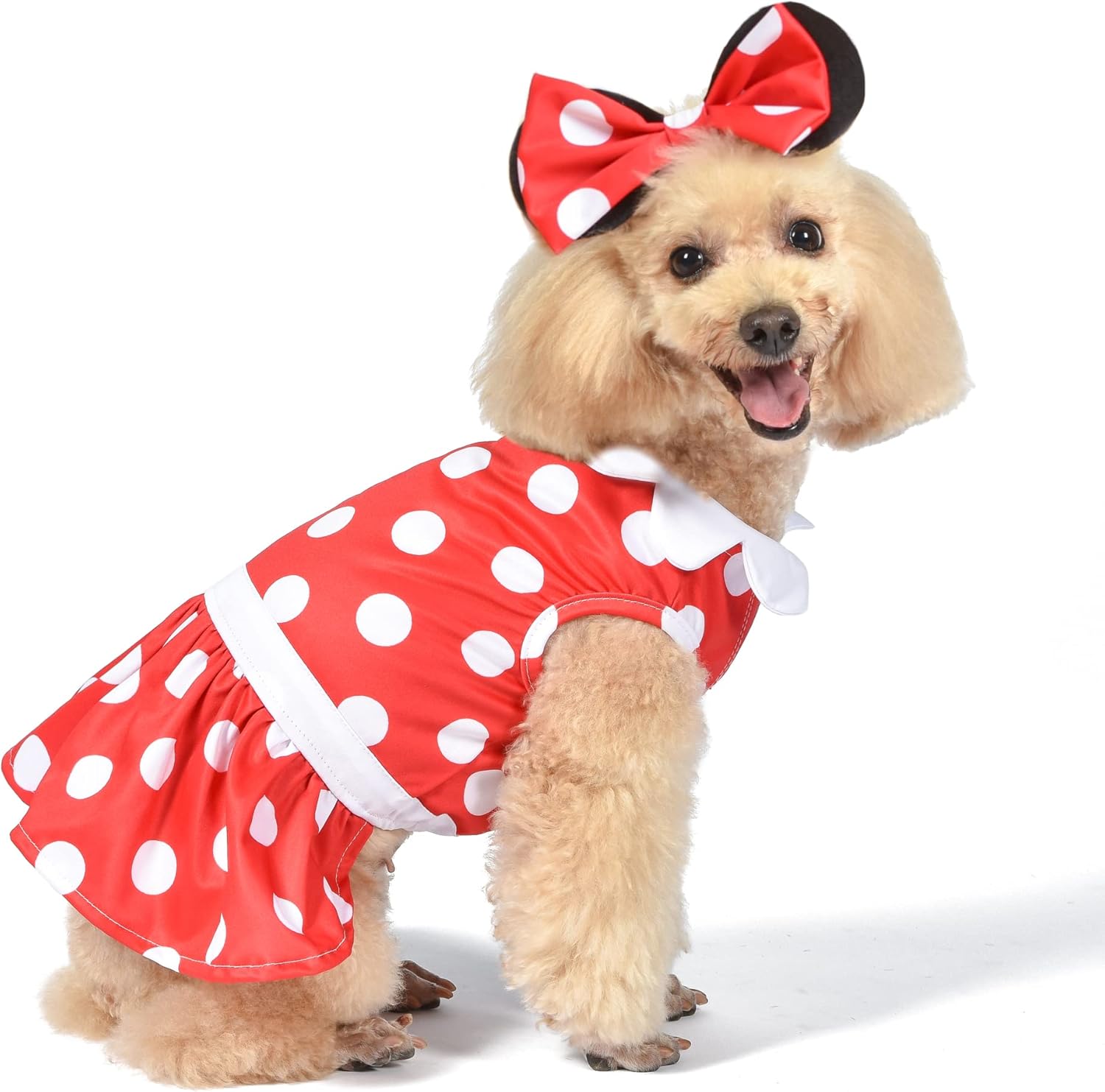 Disney for Pets Disfraz de Halloween de Minnie Mouse para perros, grande, disfraz de Halloween de Disney, divertidos disfraces de mascotas  Disfraz