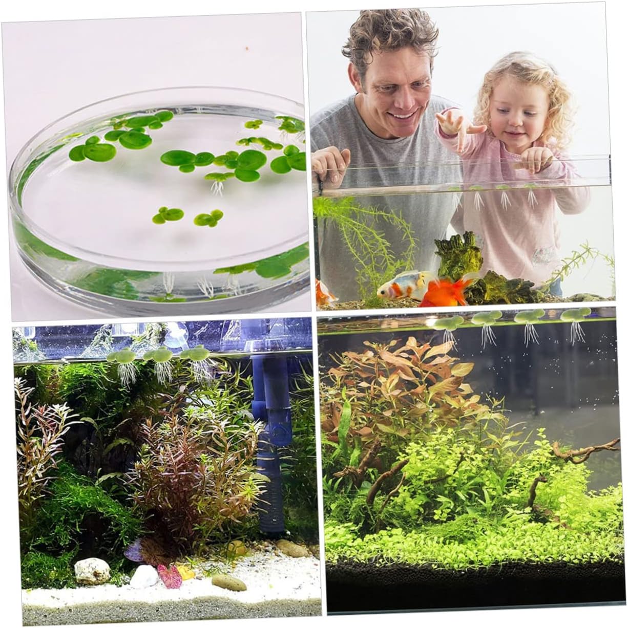 18 Uds. Artificiales de acuario de lenteja de patito, accesorios de decoración de pecera de cristal, mini plantas, lirio, almohadillas de adorno,