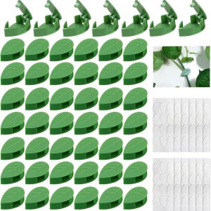 Nicunom 150 clips de pared para escalada de plantas con 180 calcomanías adhesivas, clips de plantas para plantas trepadoras, clips invisibles de vid Nicunom 150 clips de pared para escalada de plantas con 180 calcomanías adhesivas, clips de plantas para plantas trepadoras, clips invisibles de vid
