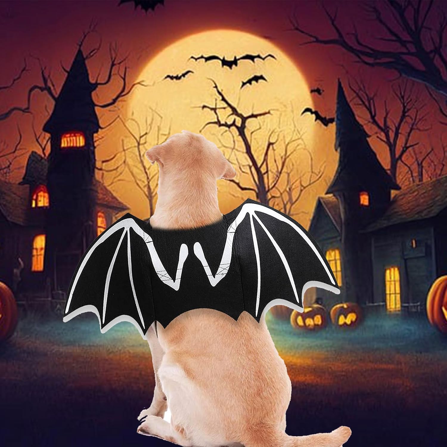 ZIRURUTON Disfraz de Halloween para perro, disfraz genial para mascota, alas de murciélago luminosas, disfraz de cosplay para fiesta temática de