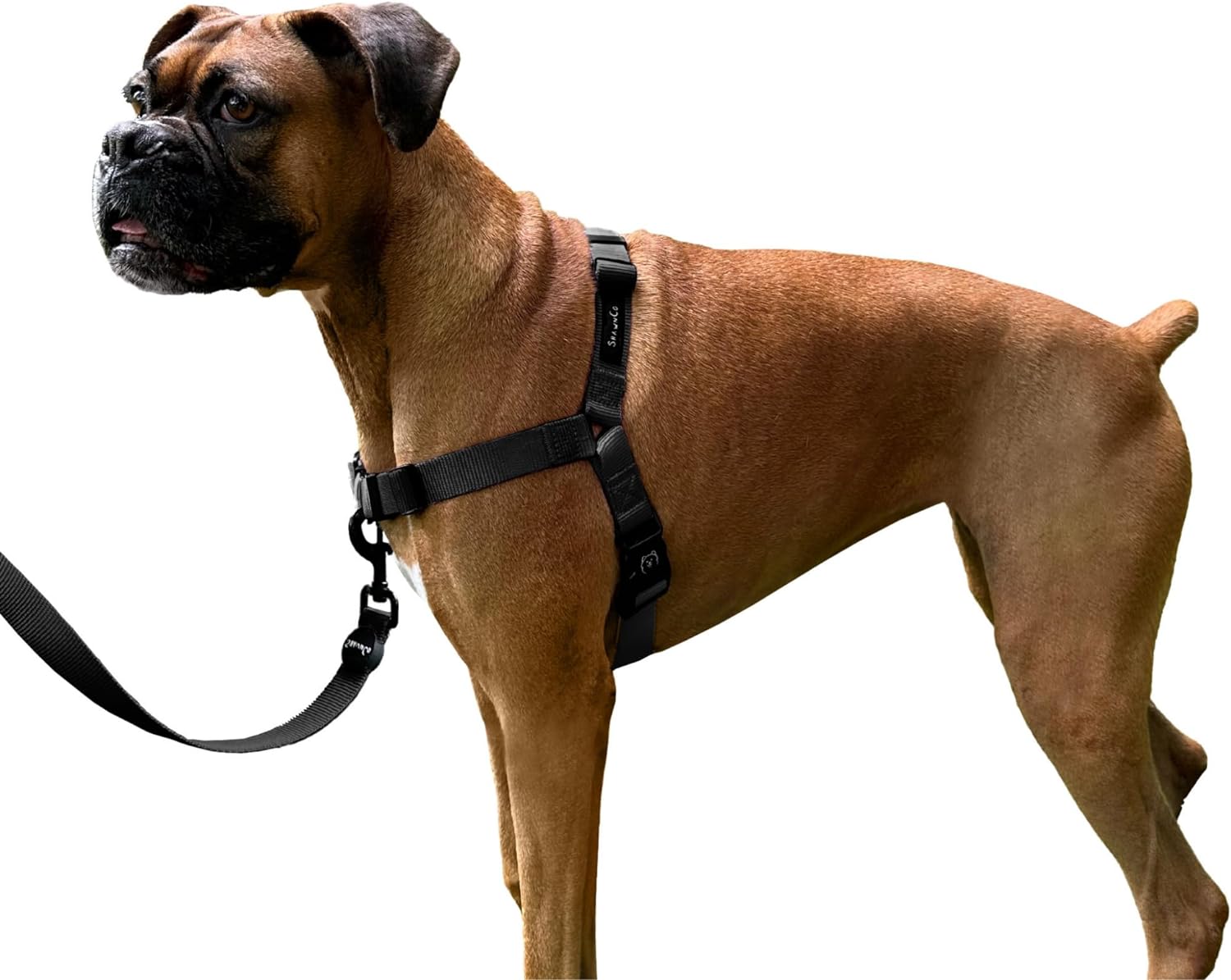 ShawnCo Dream Walk – Arnés para perro sin tirones, ajustable, cómodo, fácil de usar, para ayudar a dejar de tirar, para perros pequeños, medianos y