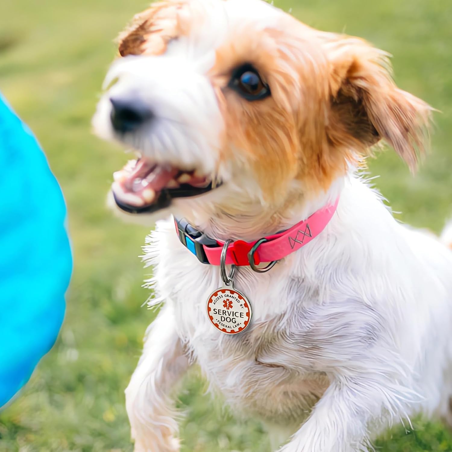 Etiqueta de identificación de perro de servicio personalizada grabada, etiquetas personalizadas de apoyo emocional ESA para perros y gatos, placa de
