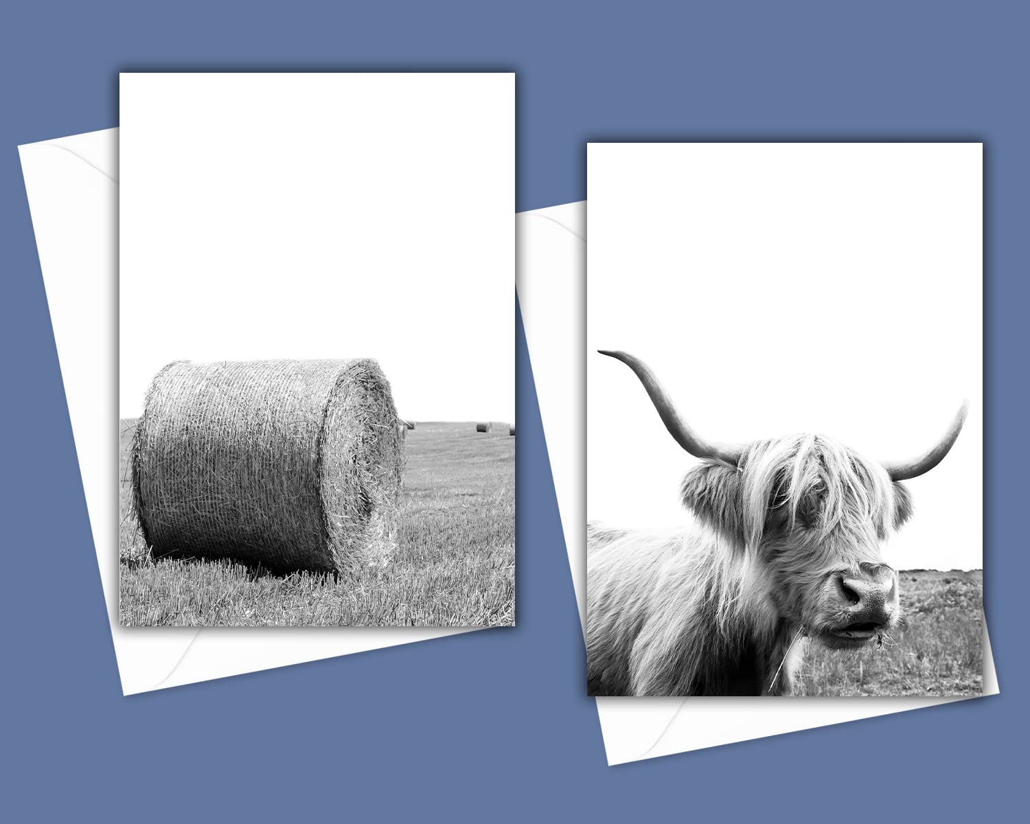 Modern Farmhouse Greeting Cards – Set of 10 All Occasion 5×7 Note Cards with Envelopes. Blank Inside. Assorted Black & White Photos including