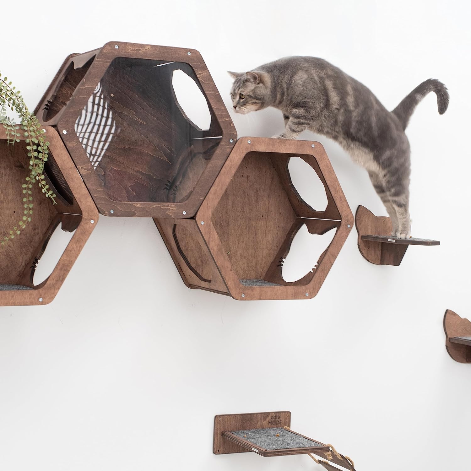 Wall Cat Shelves Wood Cat Wall Shelves Cat Furniture – Wooden Cat Shelf Wall Mounted Cat Wall Furniture – Indoor Cats Rustic Cat Decor Cat Lover