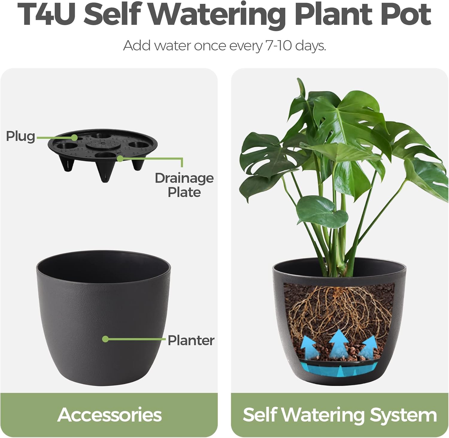 T4U – Macetero de plástico con autorregado, macetero moderno y decorativo para todas las plantas de la casa, flores, hierbas, violetas, suculentas