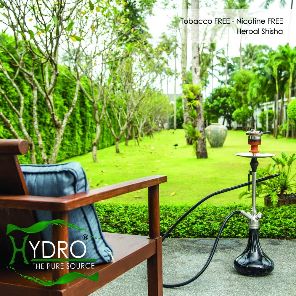 Hydro Sabores activos de cachimba con aceites esenciales, All Active Mix Hookah Shisha en melocotón, fresa, mango, piña, sandía y menta, sabores de