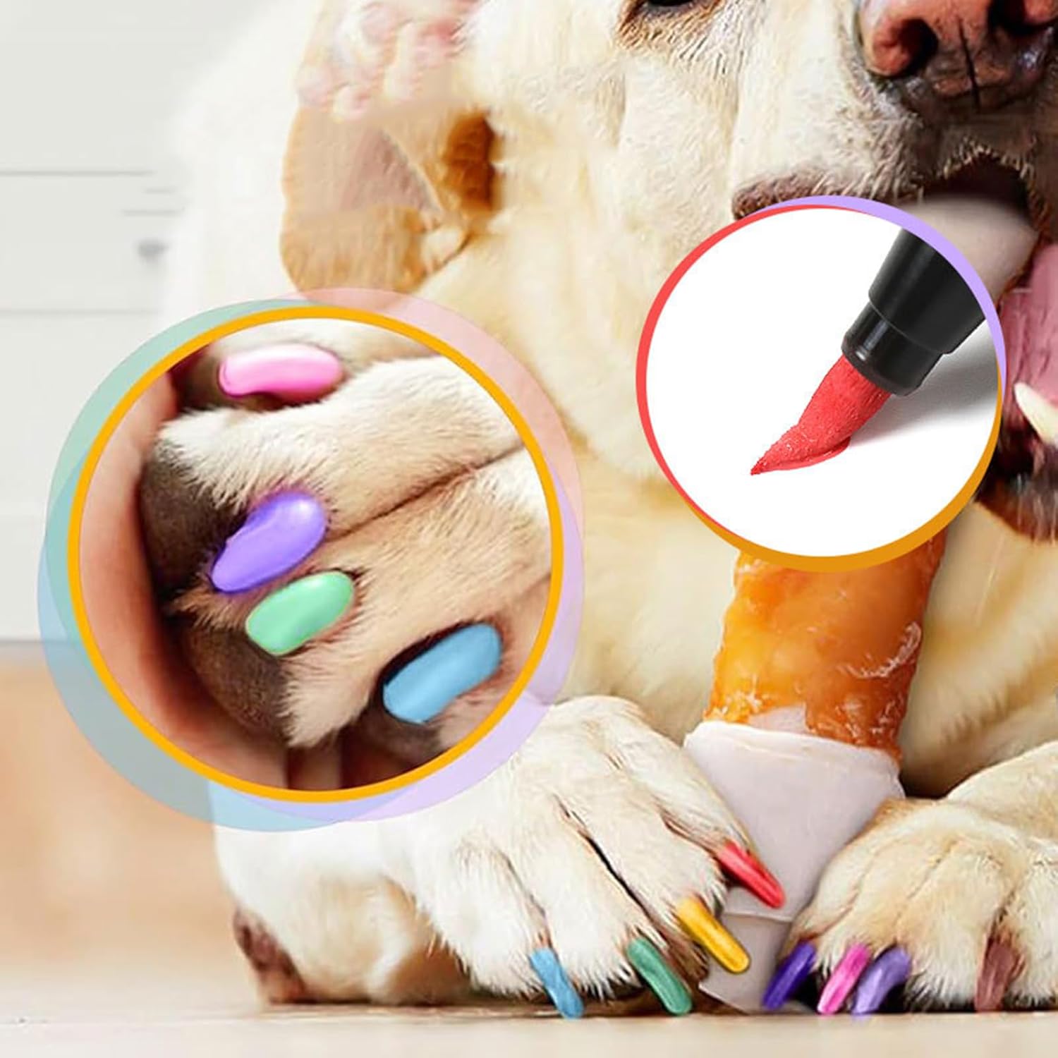 Juego de 12 esmaltes de uñas para perro, 12 colores, juego de esmaltes de uñas para mascotas, secado rápido, a base de agua, fácil de quitar