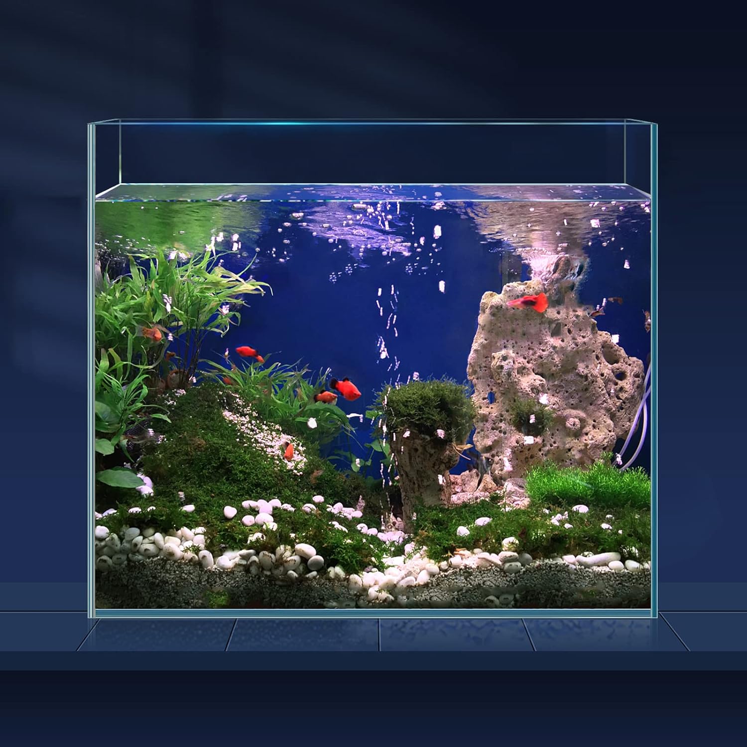 Tanque de peces de vidrio ultra transparente de 6.5 galones, acuario de hierro bajo sin borde para BettaNanoGoldfishCaracolCamarón, juego de tanque