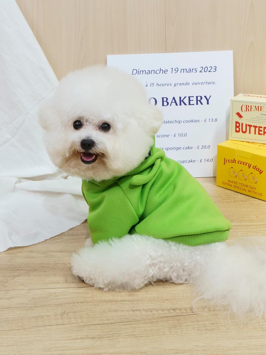 QWINEE Sudadera con capucha para perro de alienígena, abrigo cálido para cachorros, sudadera para Navidad, Halloween, disfraz de perro, ropa de