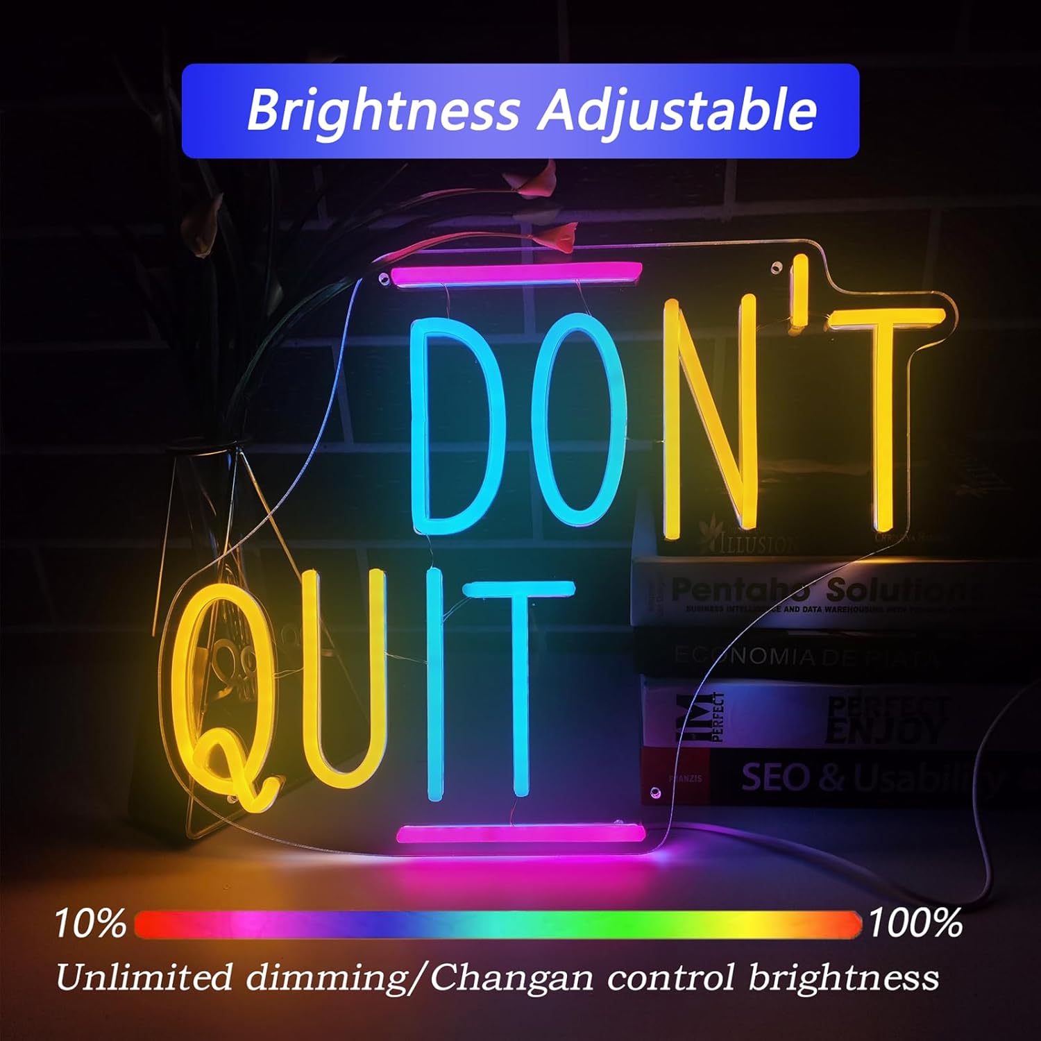 Letrero LED de neón con texto en inglés “Don’t Quit”, fuente de alimentación USB con interruptor de ajuste continuo, luces de neón, decoración de