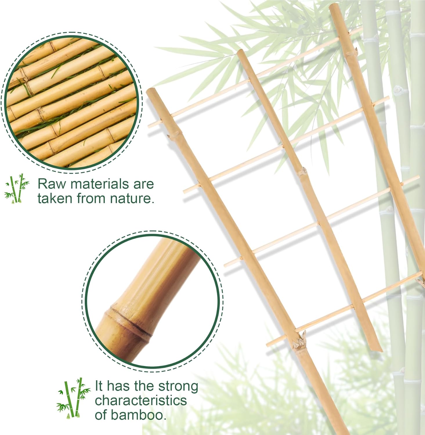 Enrejado de bambú para plantas trepadoras de 16 pulgadas, paquete de 12 entramados de bambú natural en forma de abanico, mini soporte de madera para